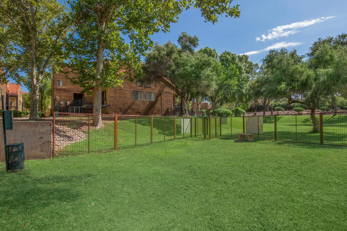 a yard with grass and trees