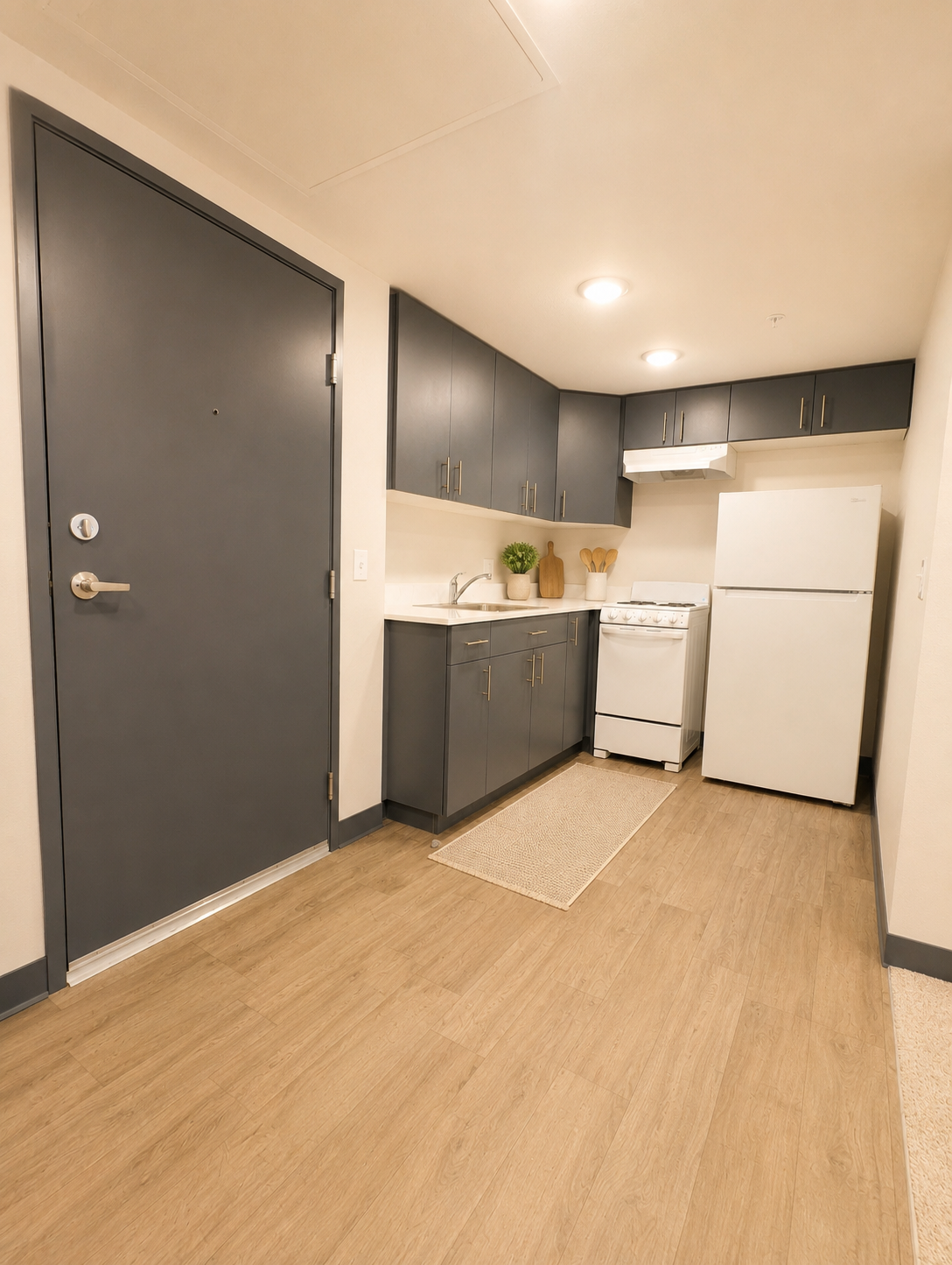 A modern kitchen area featuring a gray door, dark cabinetry, a white refrigerator, and a stove. The countertop is equipped with a sink, and a small decorative item is visible. The flooring is light wood, and there is a rug near the sink, creating a cozy atmosphere. Warm lighting adds to the inviting feel of the space.