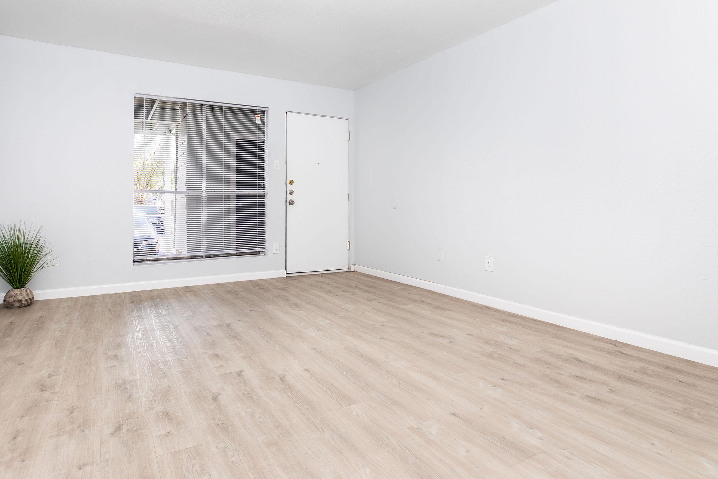 Empty room with light-colored walls and a wooden floor. A small potted plant is in one corner, and there is a window with blinds letting in natural light. The door is centered on the wall, and the space is spacious and uncluttered, conveying a minimalist aesthetic.