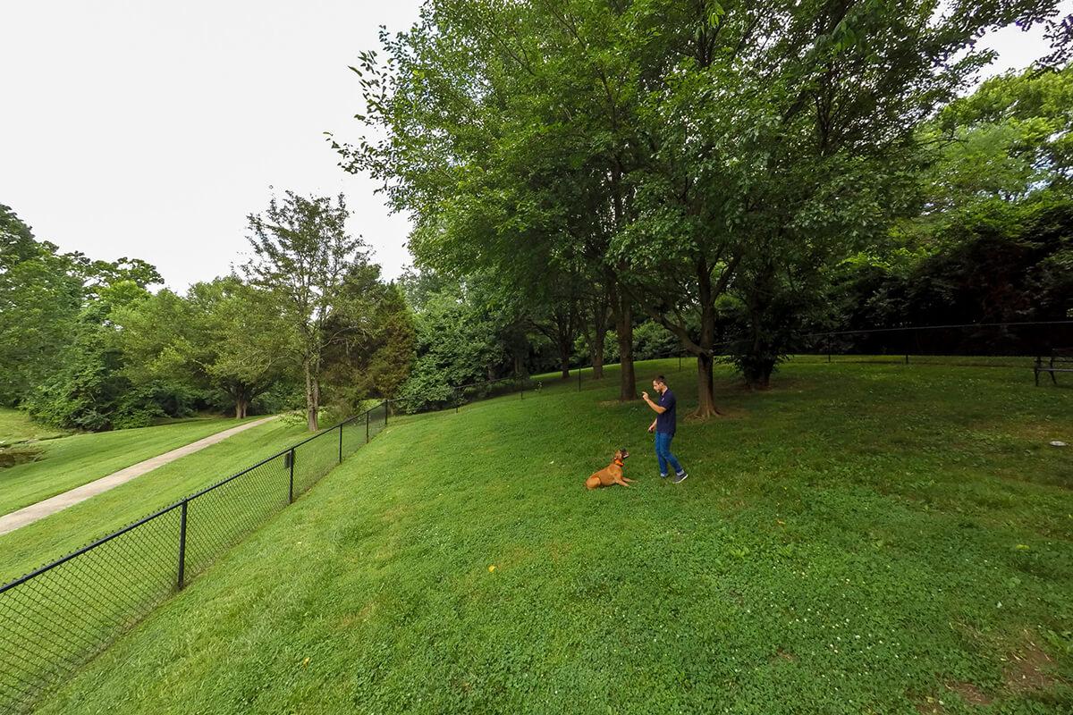 a person throwing a frisbee in the park