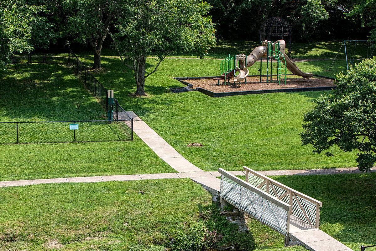 a couple of lawn chairs sitting on top of a lush green park