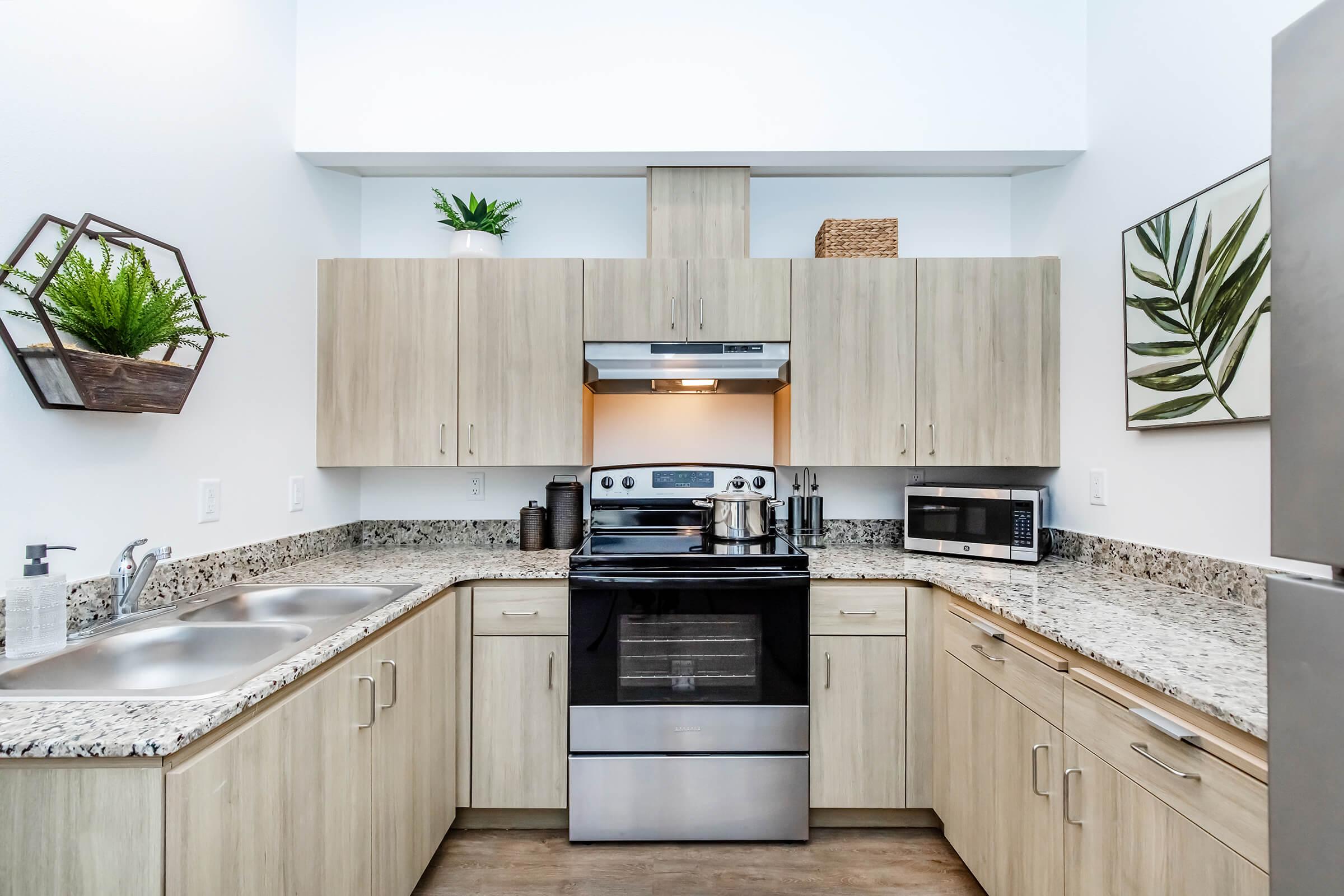 Modern kitchen featuring light wooden cabinetry, a granite countertop, and stainless steel appliances including a stove, microwave, and dual sink. Green plants add a touch of color and freshness to the space, complemented by decorative wall elements. The setting has a clean and contemporary aesthetic.
