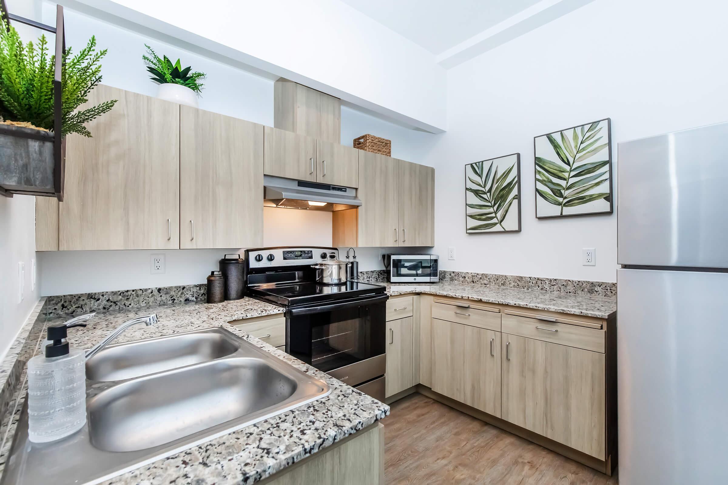 Modern kitchen featuring wooden cabinets, granite countertops, and stainless steel appliances. The space includes a double sink and an oven with a stove. Decorative plants and framed leaf artwork add a touch of greenery. A microwave is also visible, emphasizing the kitchen's functionality and contemporary design.