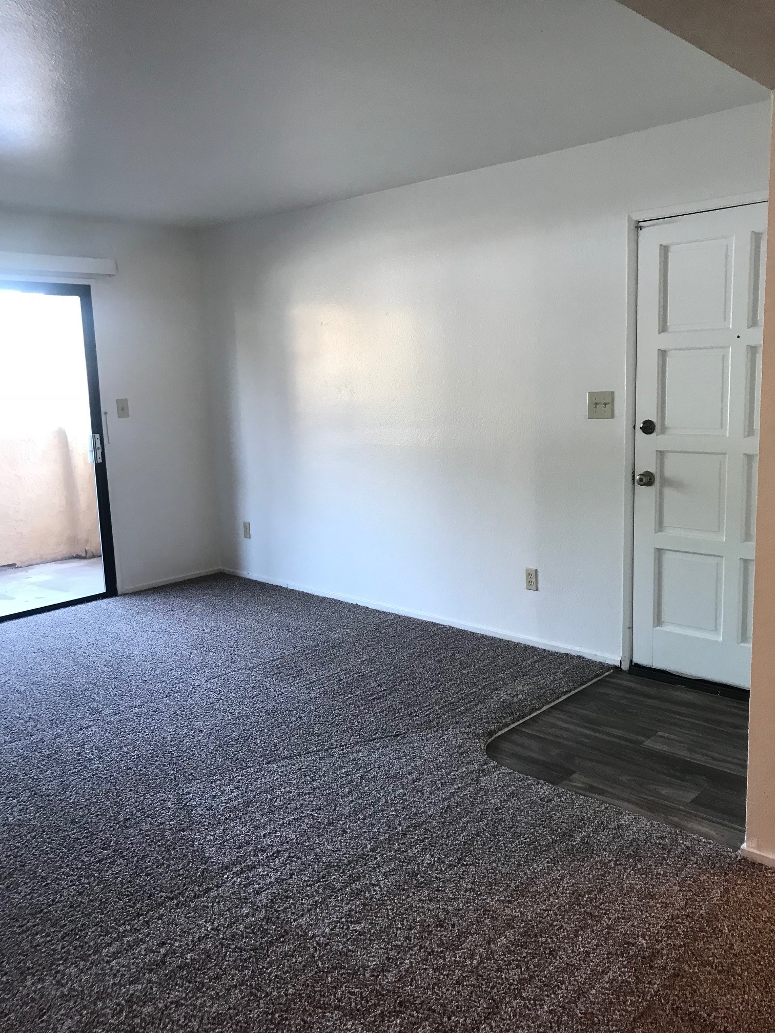 Vacant living room with carpet