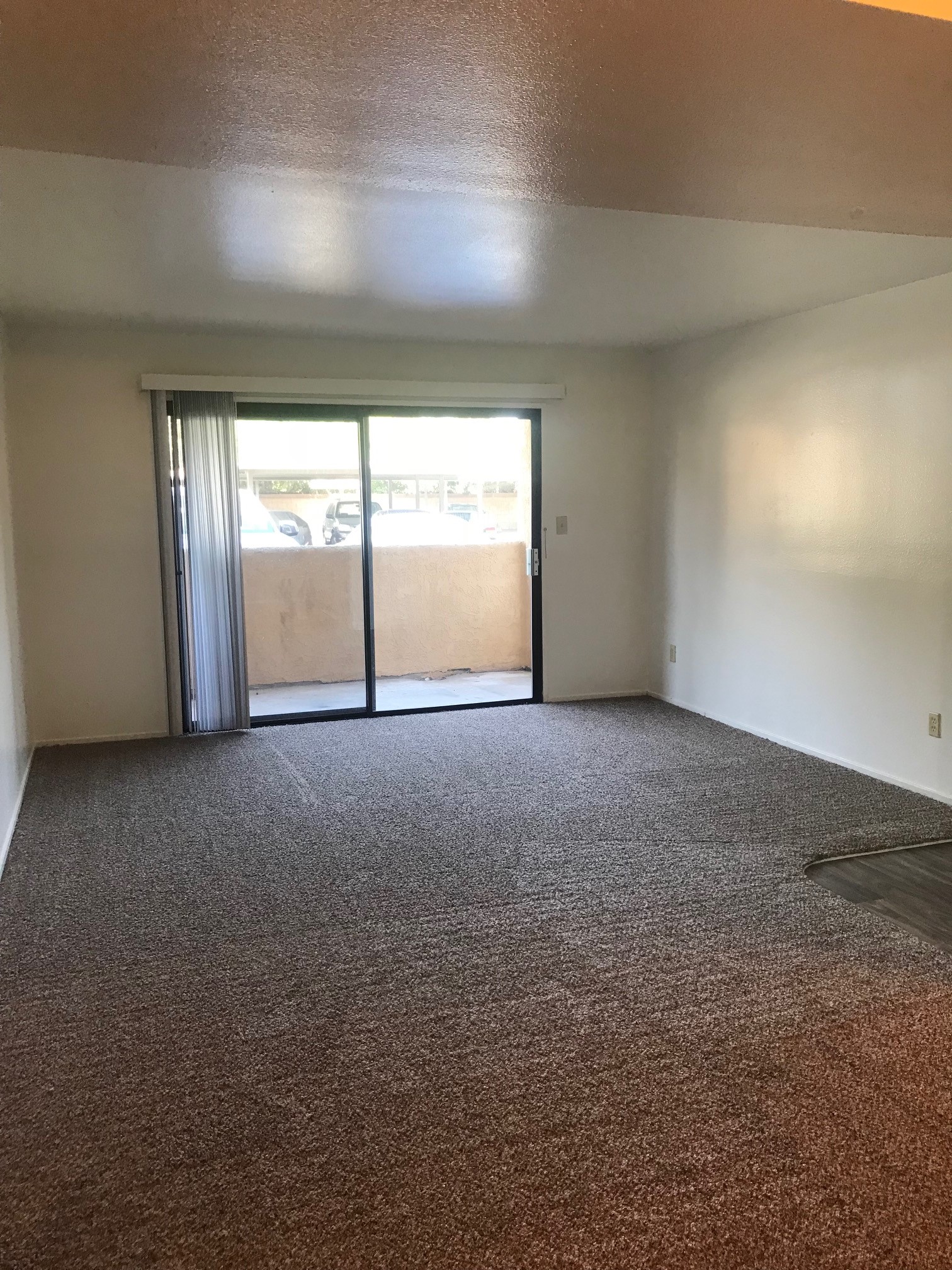 Carpeted living room with sliding glass doors