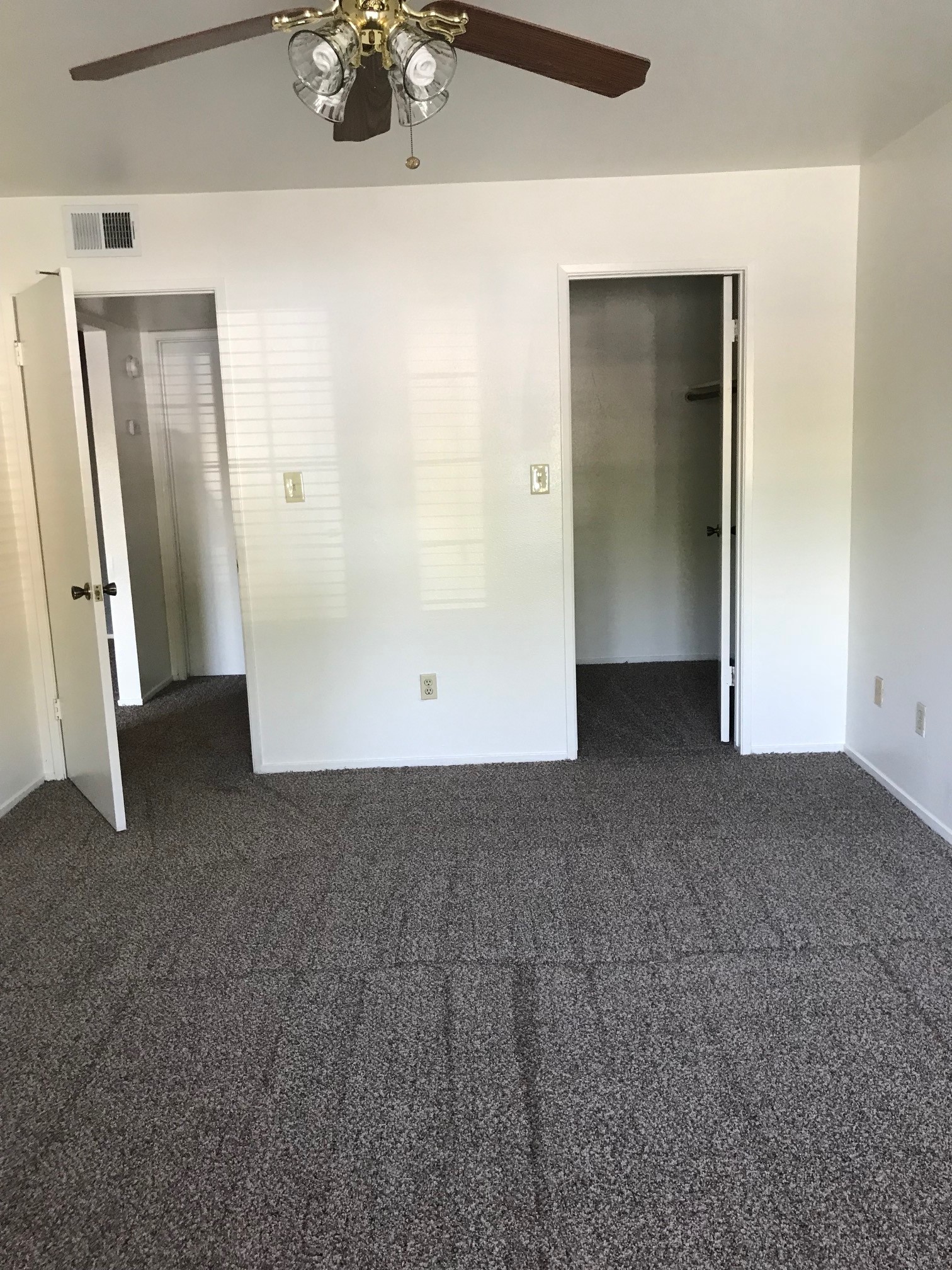 Carpeted bedroom with open walk-in closet