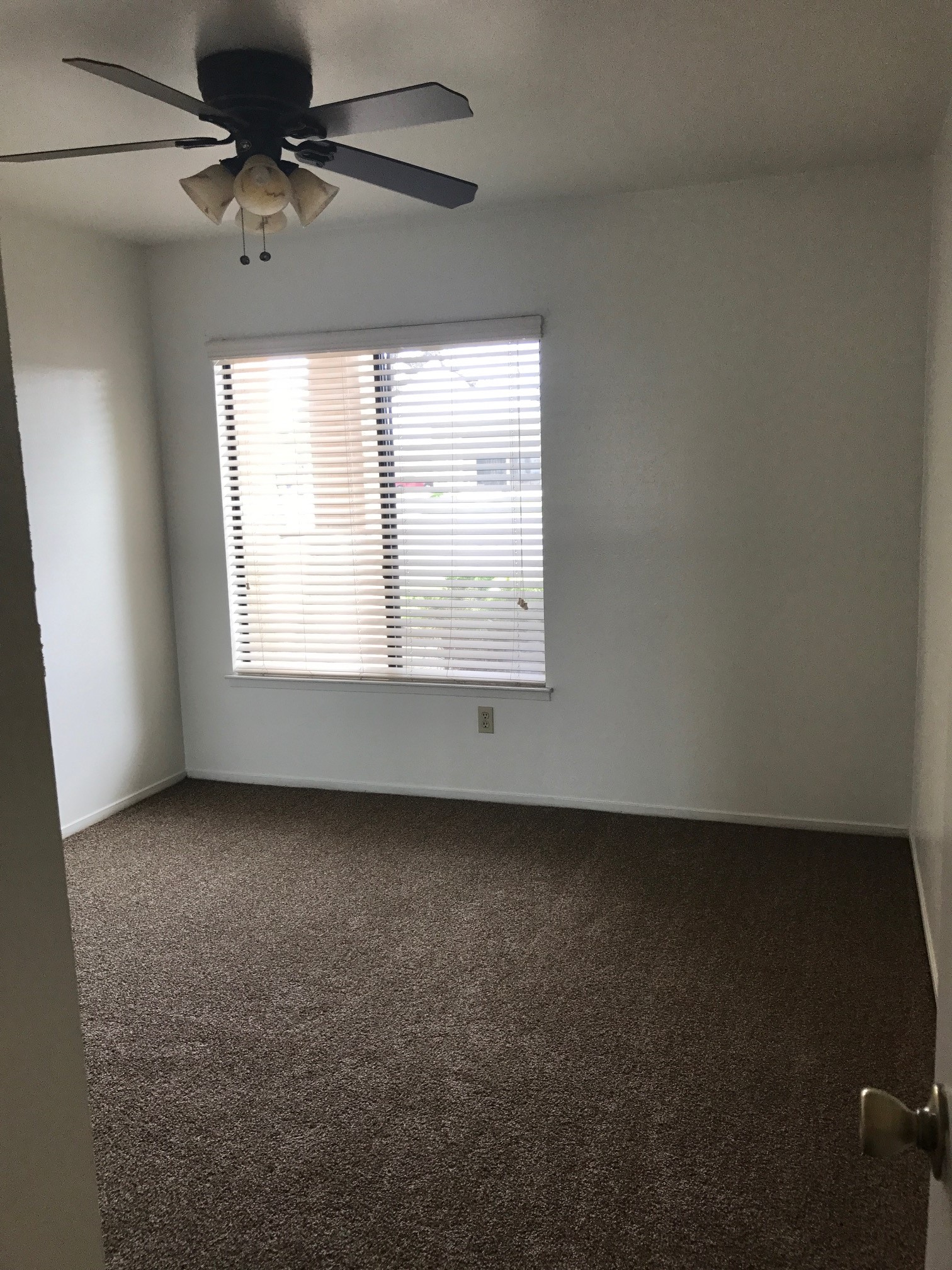 Vacant carpeted bedroom