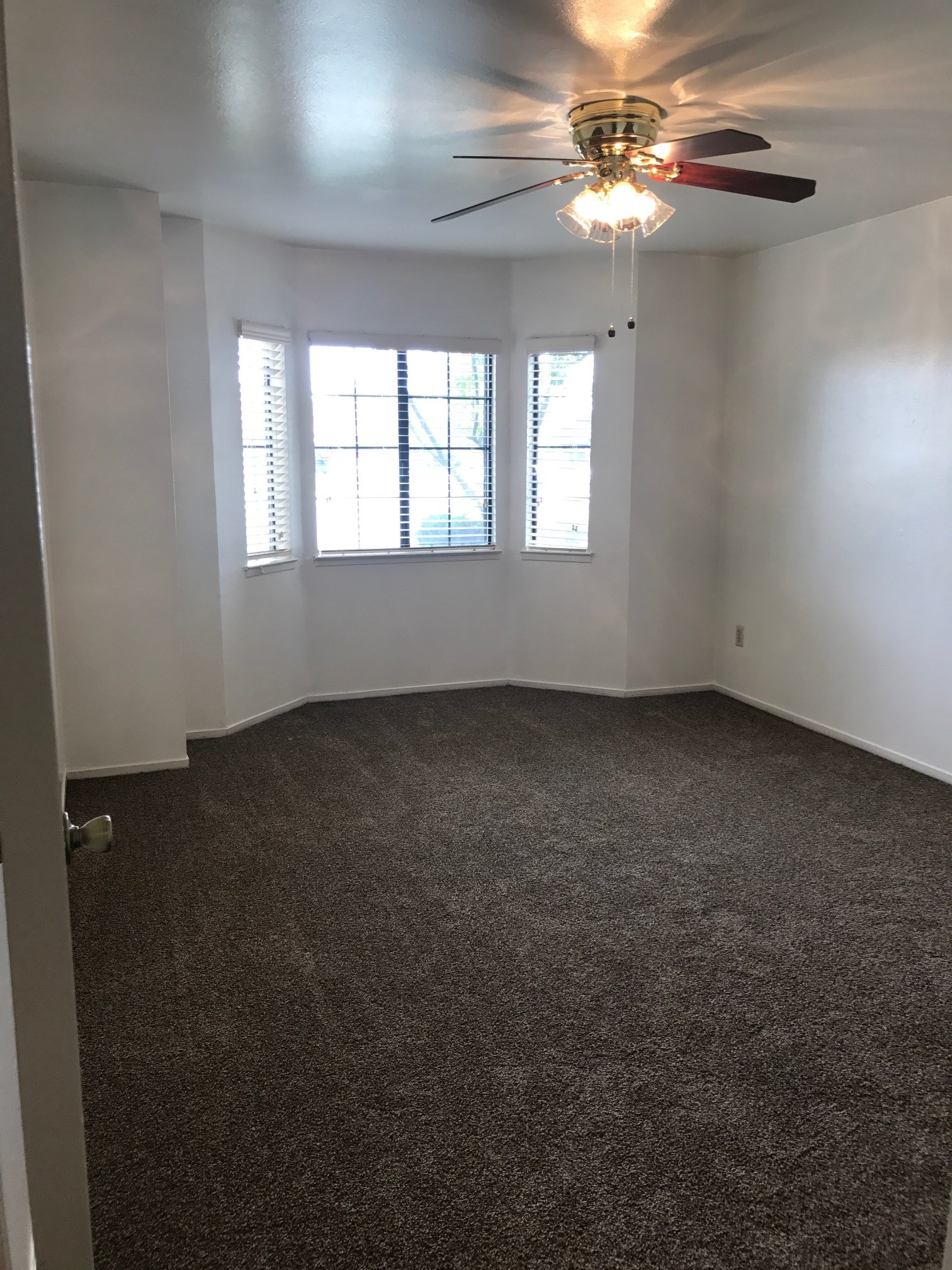 Carpeted vacant bedroom
