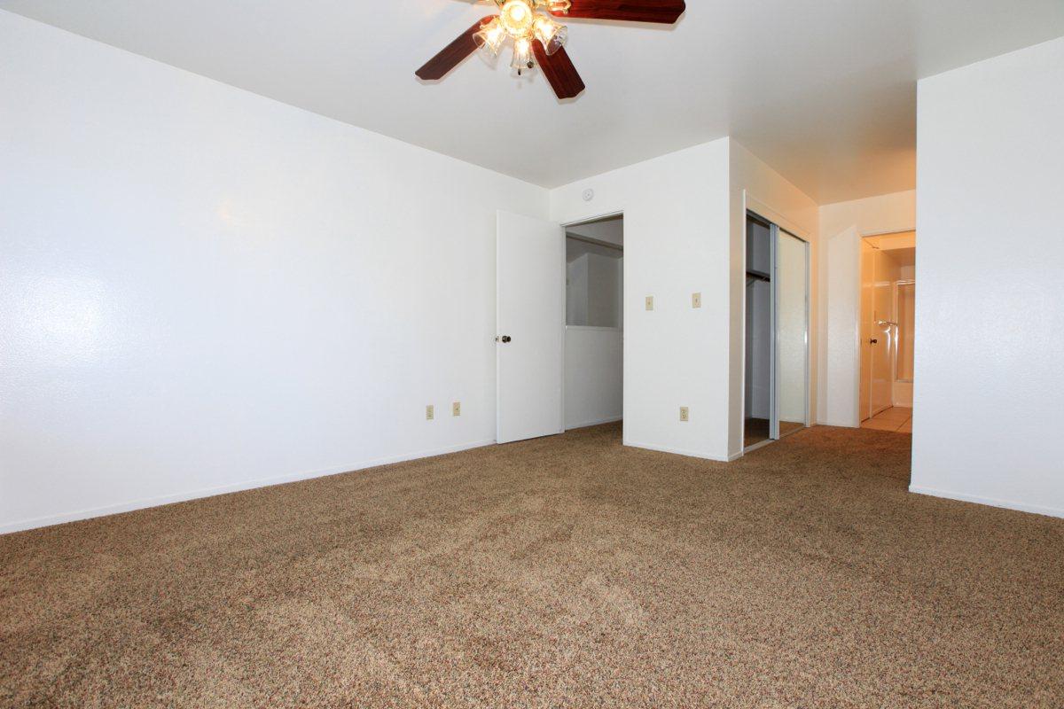 Carpeted bedroom with open bathroom and closet doors