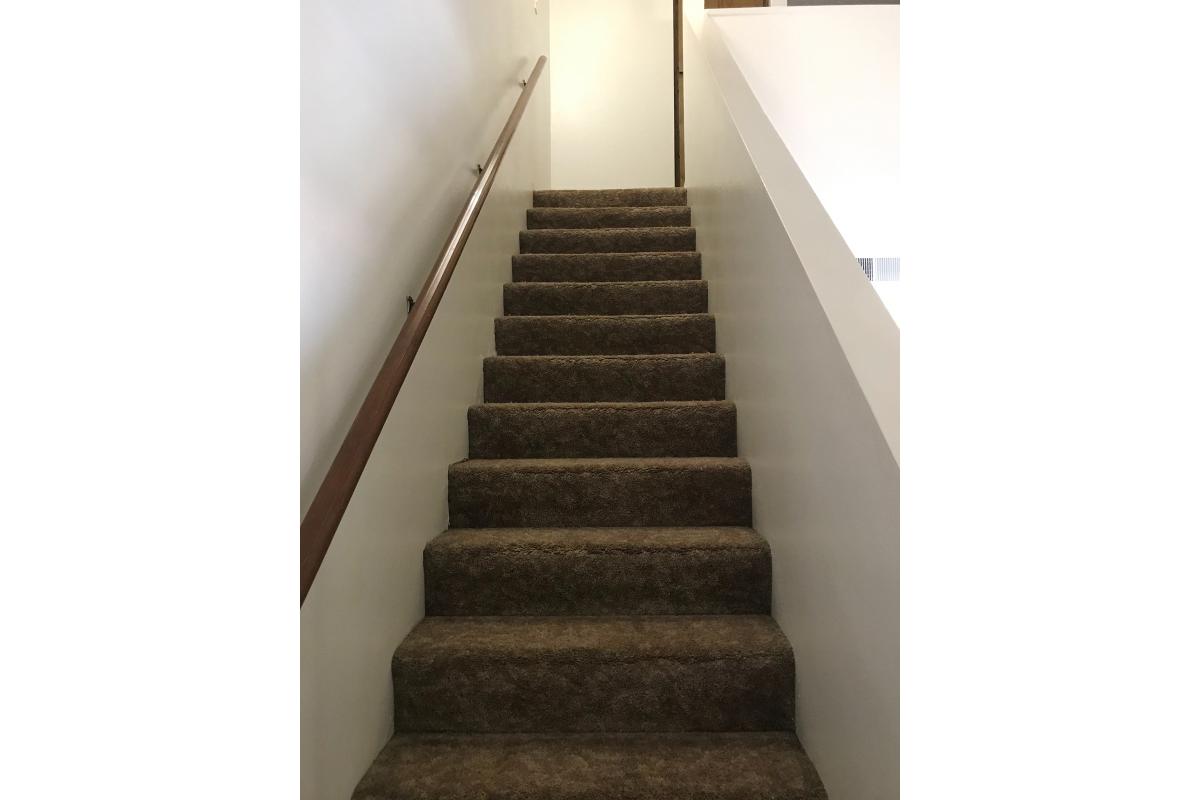 Carpeted stairs