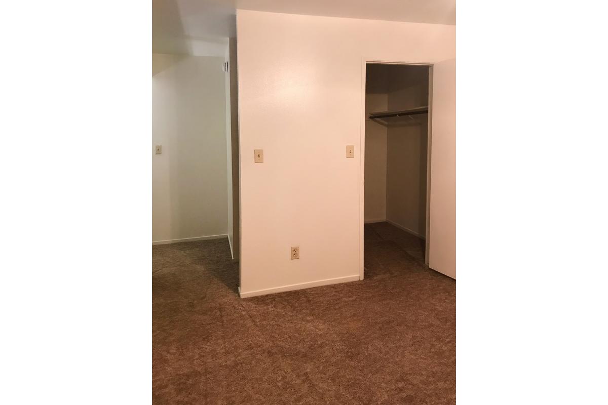 Open bedroom closet with carpet