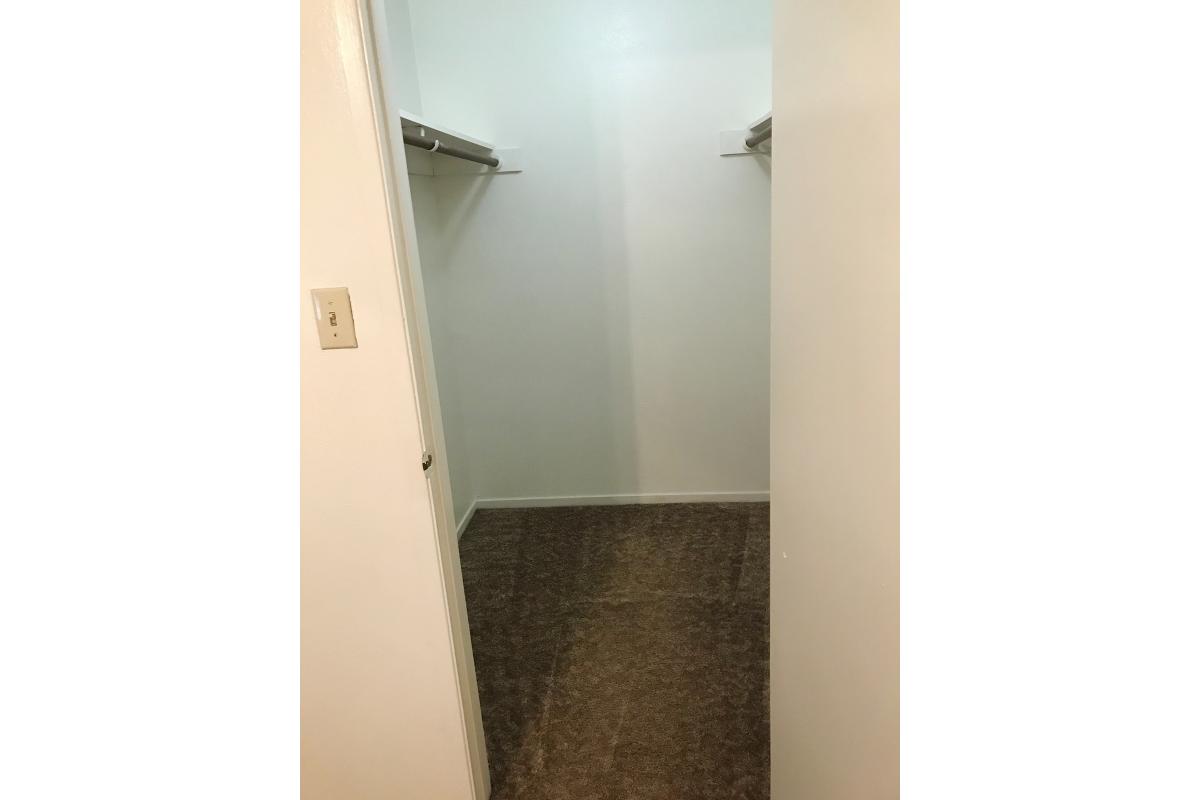 Walk-in closet with carpet