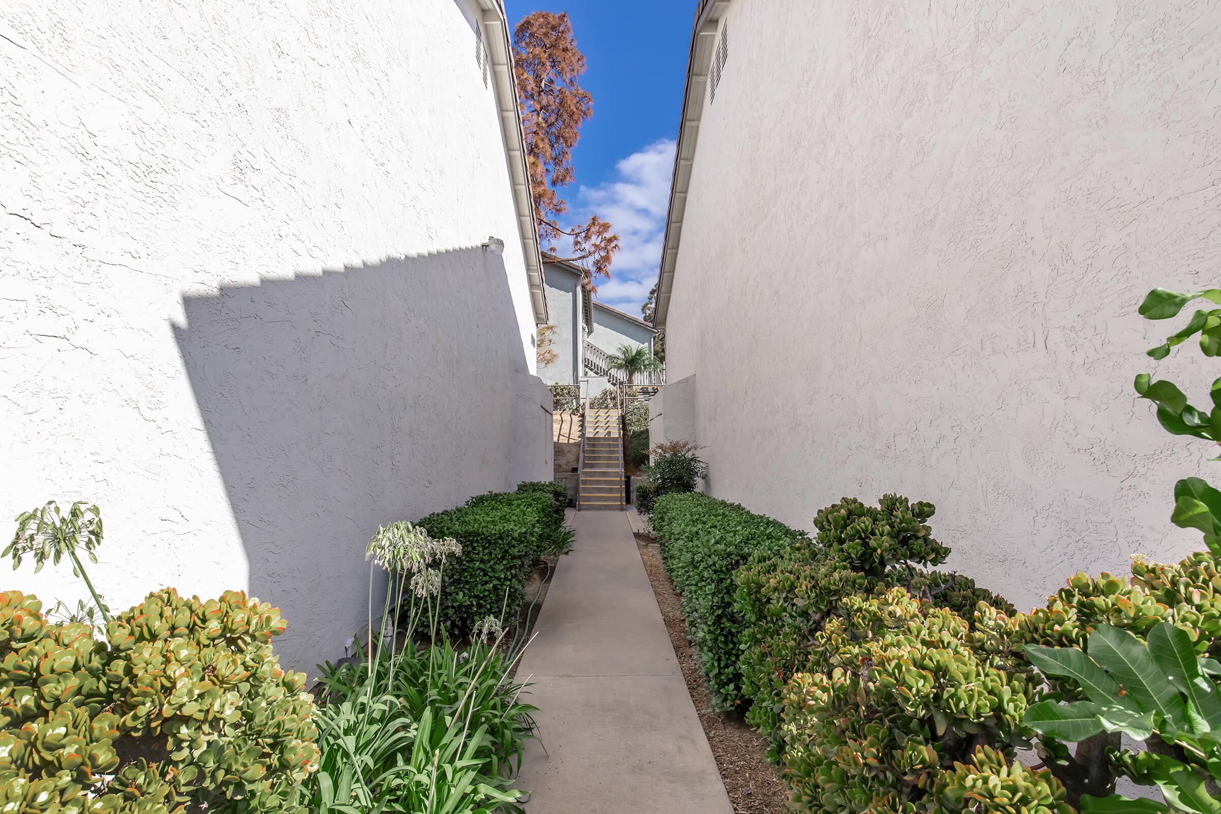Narrow pathway between two white buildings, framed by well-maintained greenery on either side. The path leads to a staircase in the background, under a clear blue sky with a few clouds. Sunlight casts shadows on the textured walls.