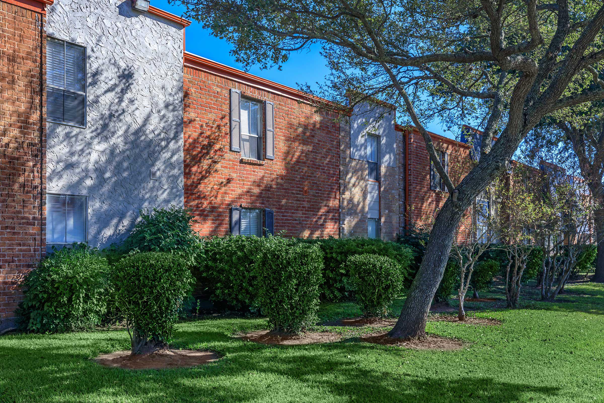 a tree in front of a brick building