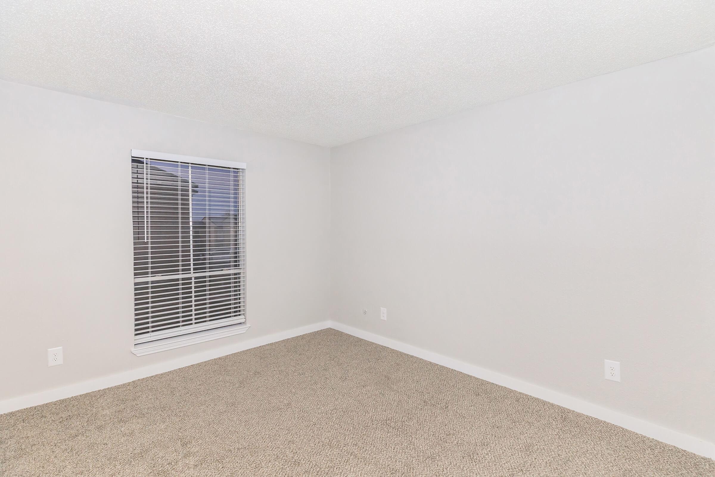 Empty room with light gray walls and carpeted floor. A single window with white blinds allows natural light, creating a bright atmosphere. No furniture or decorations present, emphasizing the spaciousness of the area. Ideal for various design possibilities.