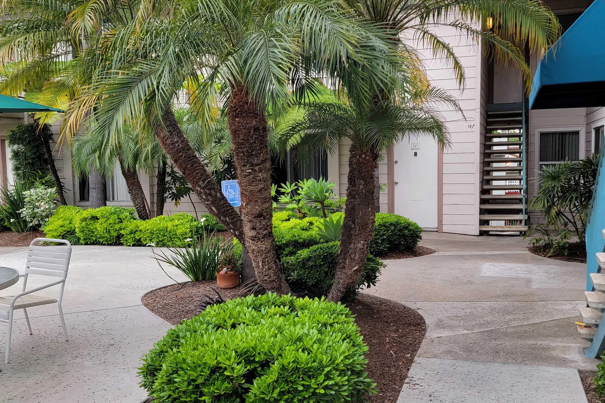 Lush tropical courtyard with palm trees and vibrant green shrubs. A small seating area with white chairs is visible, along with a stairway leading to upper levels of a building. The scene is inviting and well-maintained, featuring a mix of greenery and walkways.