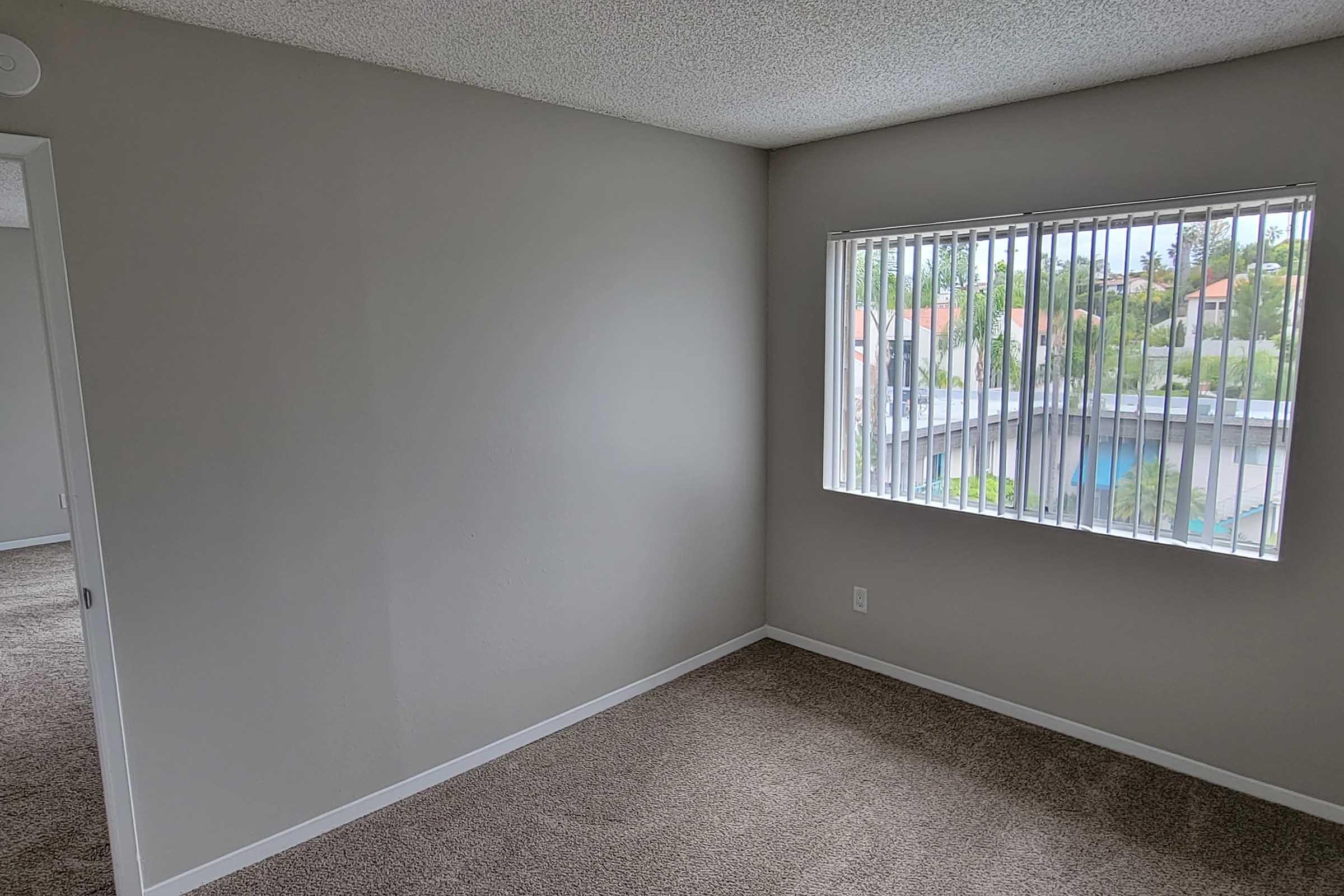 Empty room with beige carpet and light gray walls. A large window with vertical blinds allows natural light to enter, showing a glimpse of greenery outside. No furniture is present, emphasizing the room's spaciousness. A door is visible on the left side, leading to another area.
