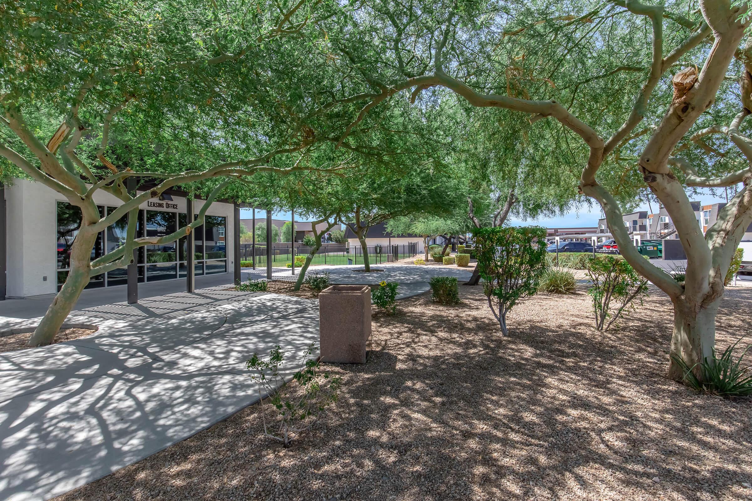 A view of a landscaped area featuring several trees, including a lush green canopy. The foreground has a gravel path and a large stone planter. In the background, there are buildings partially visible. Soft shadows from the trees play on the ground, creating a tranquil outdoor setting.