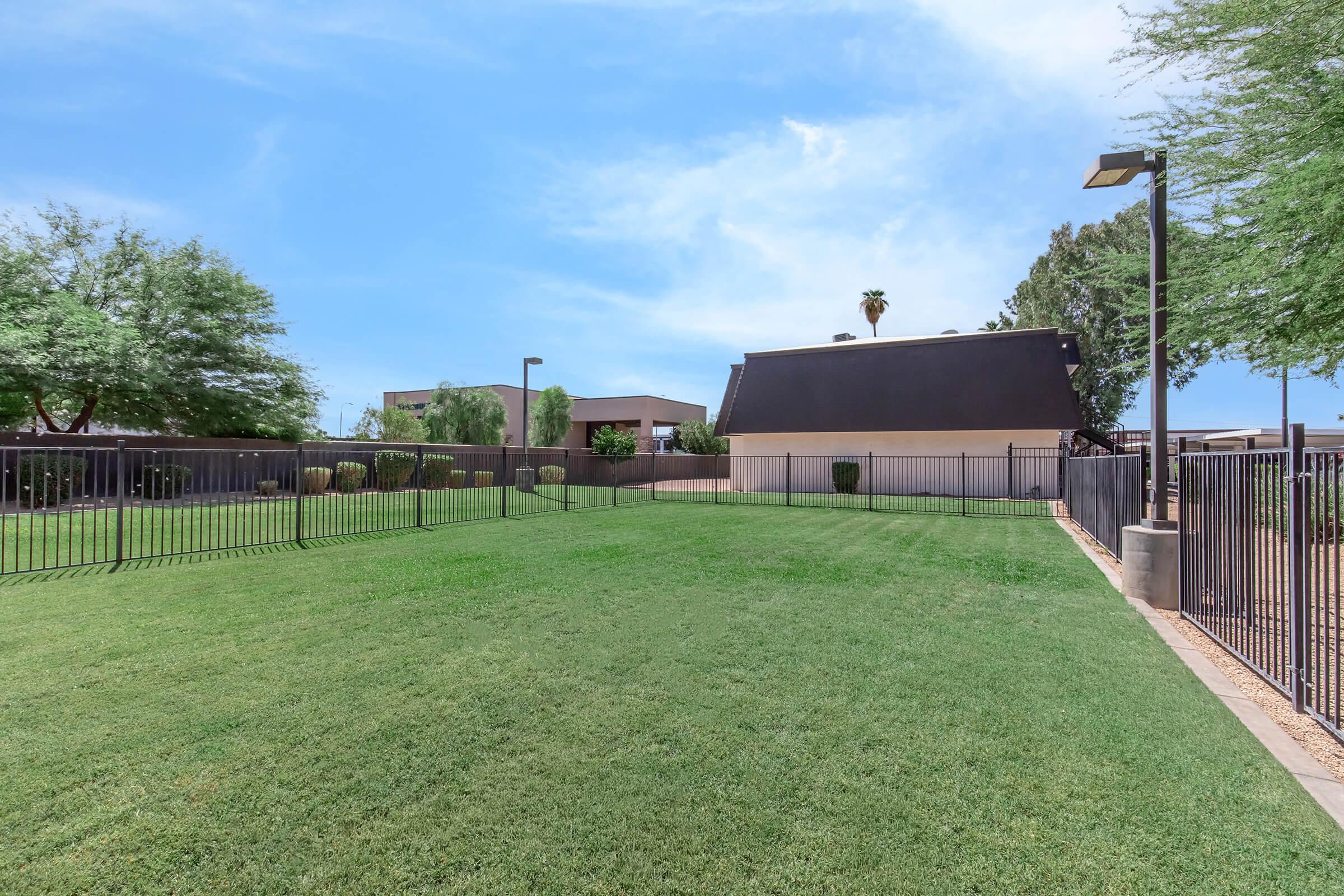 A spacious grassy area bordered by a black metal fence, with a building in the background. The scene is bright and sunny, featuring trees and a clear blue sky. The well-maintained lawn provides an open space, ideal for outdoor activities or relaxation.