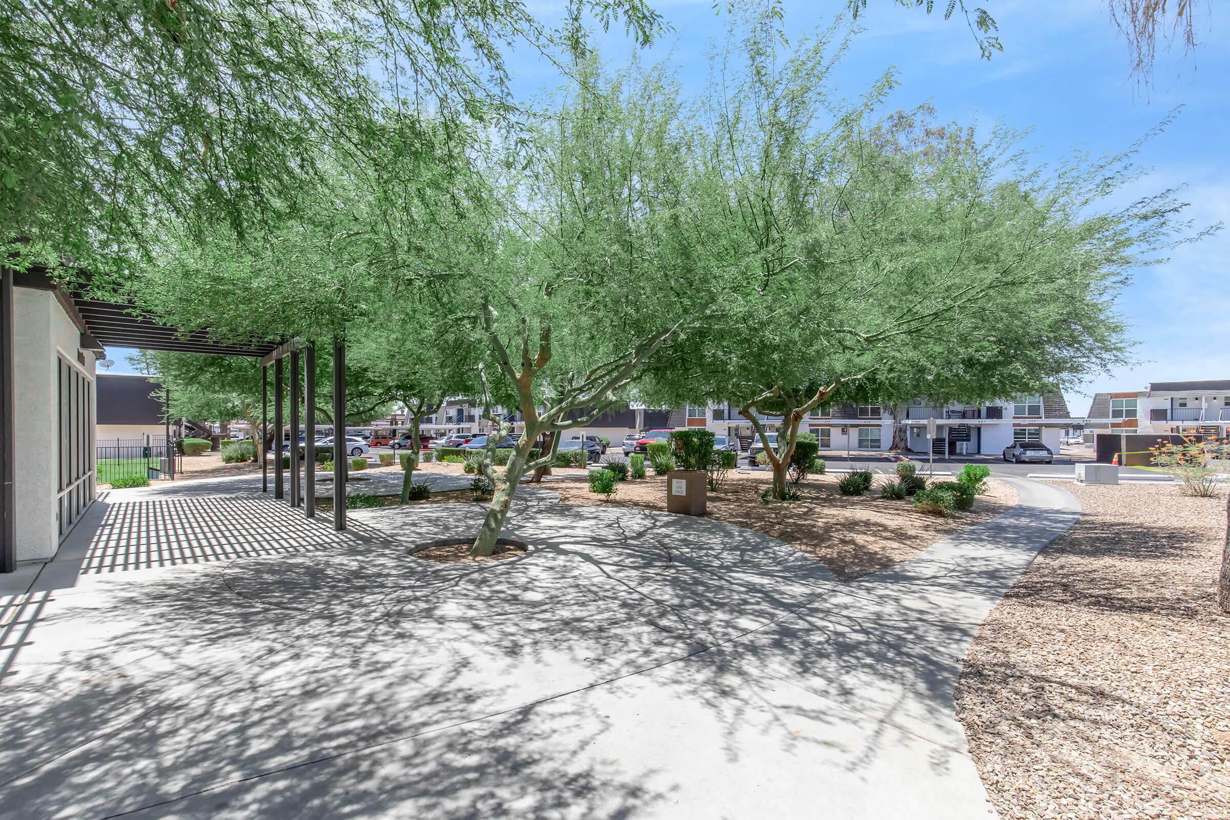 A landscaped area with several green trees casting shadows on a light-colored walkway. The scene includes a modern building on one side and a parking area with cars in the background. Sunlight illuminates the trees, creating a serene outdoor environment.