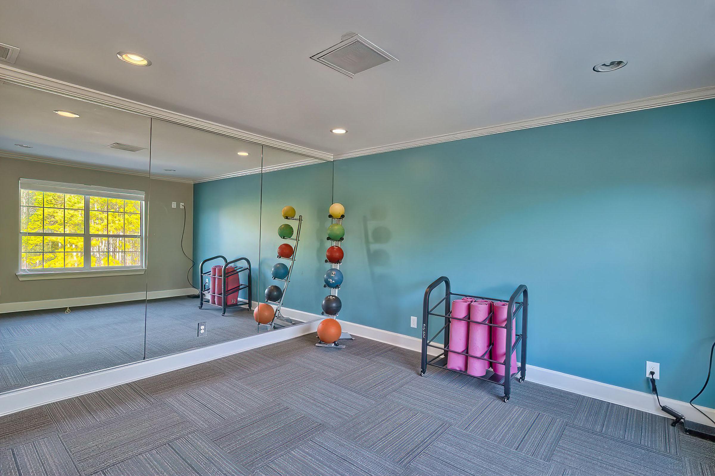 A spacious exercise room featuring a large mirror on one wall, a colorful set of medicine balls arranged on a rack, and a small storage unit holding rolled exercise mats. The walls are painted a calming blue, and natural light streams in through a window, creating an inviting workout space.