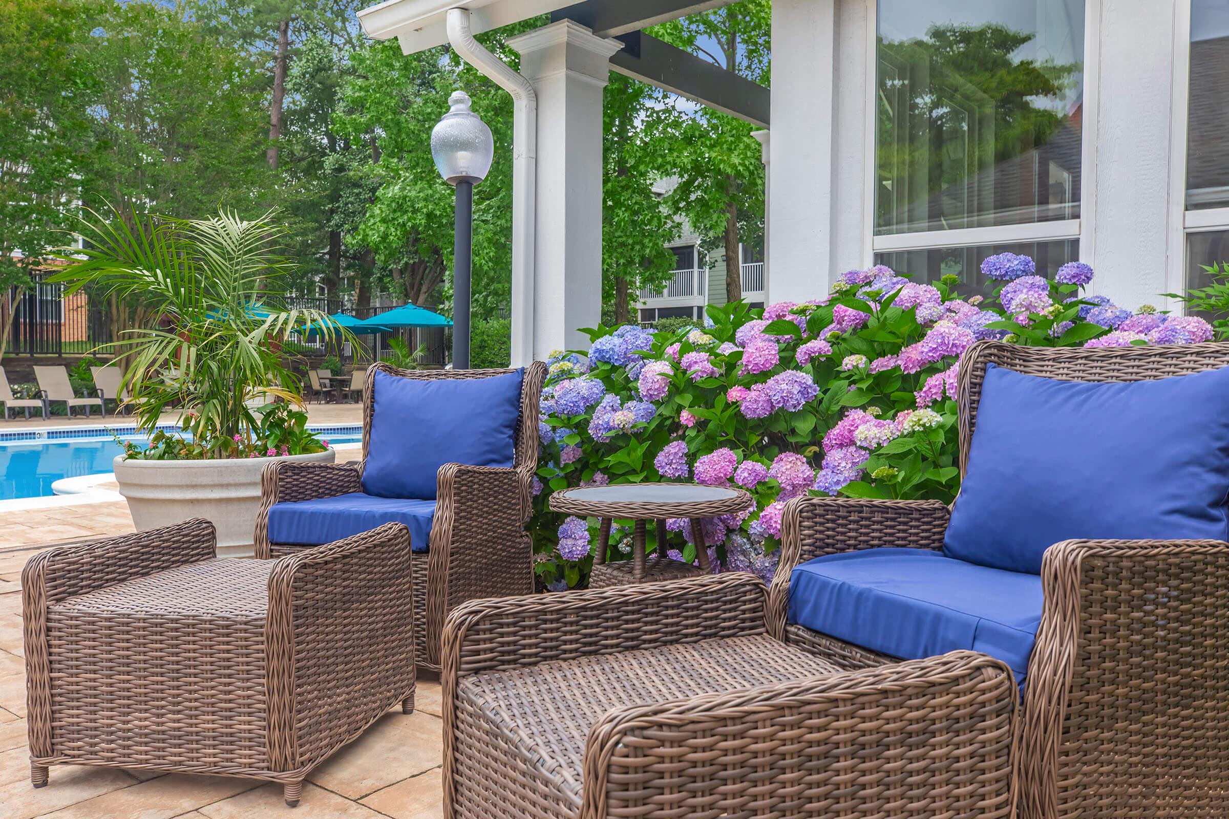 Outdoor seating area featuring two woven chairs with blue cushions and a small table, surrounded by colorful hydrangea flowers. In the background, there's a swimming pool and several lounge chairs, with green trees and blue umbrellas providing a peaceful, relaxing ambiance.