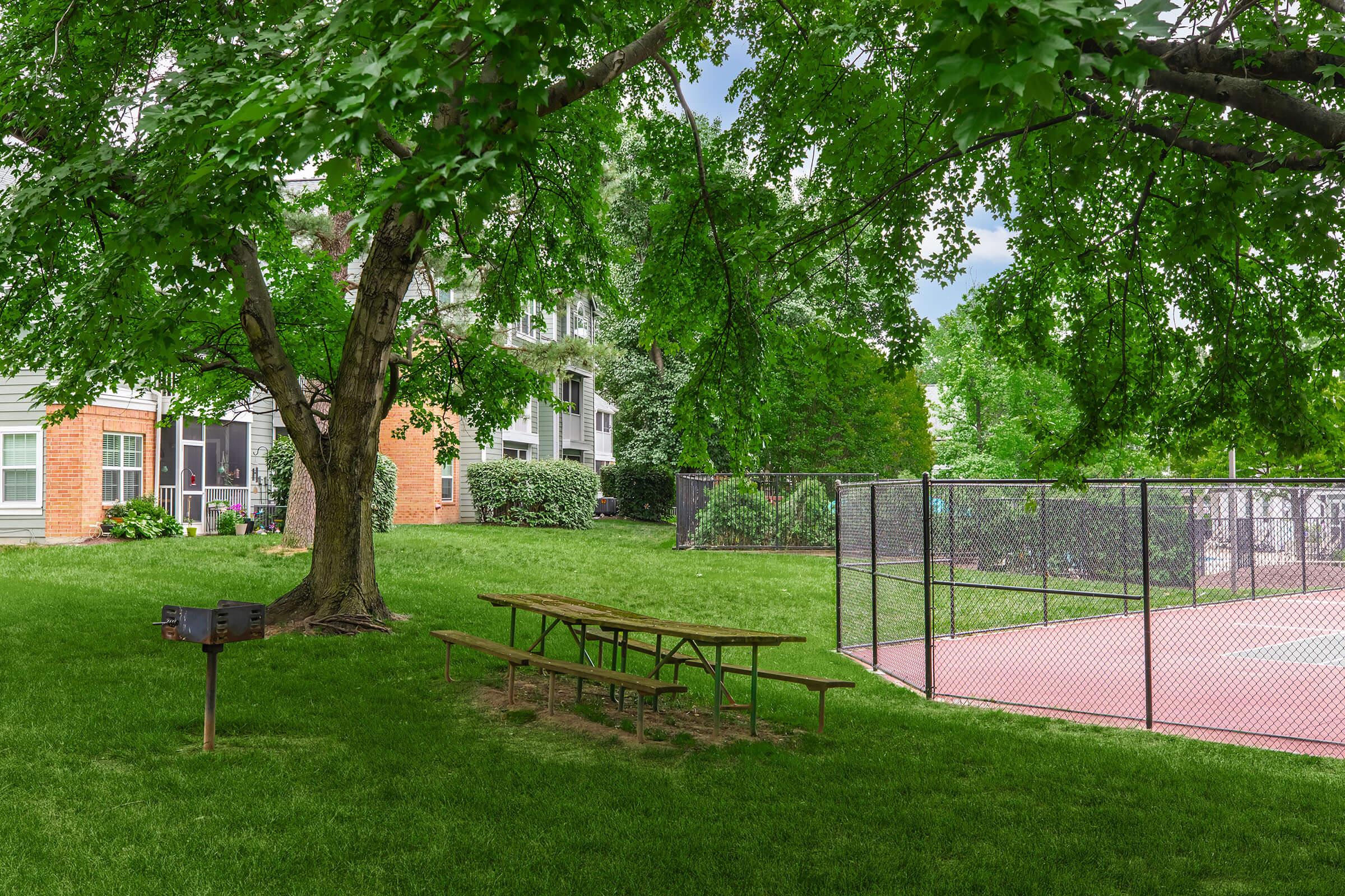 A grassy area with a large tree providing shade. Nearby is a picnic table set on the grass and a barbecue grill. In the background, there is a chain-link fence enclosing a red sports court. The scene features various shades of green foliage and a residential building partially visible behind the tree.