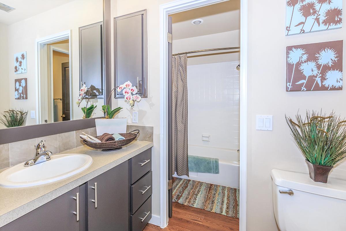 a room with a sink and a mirror