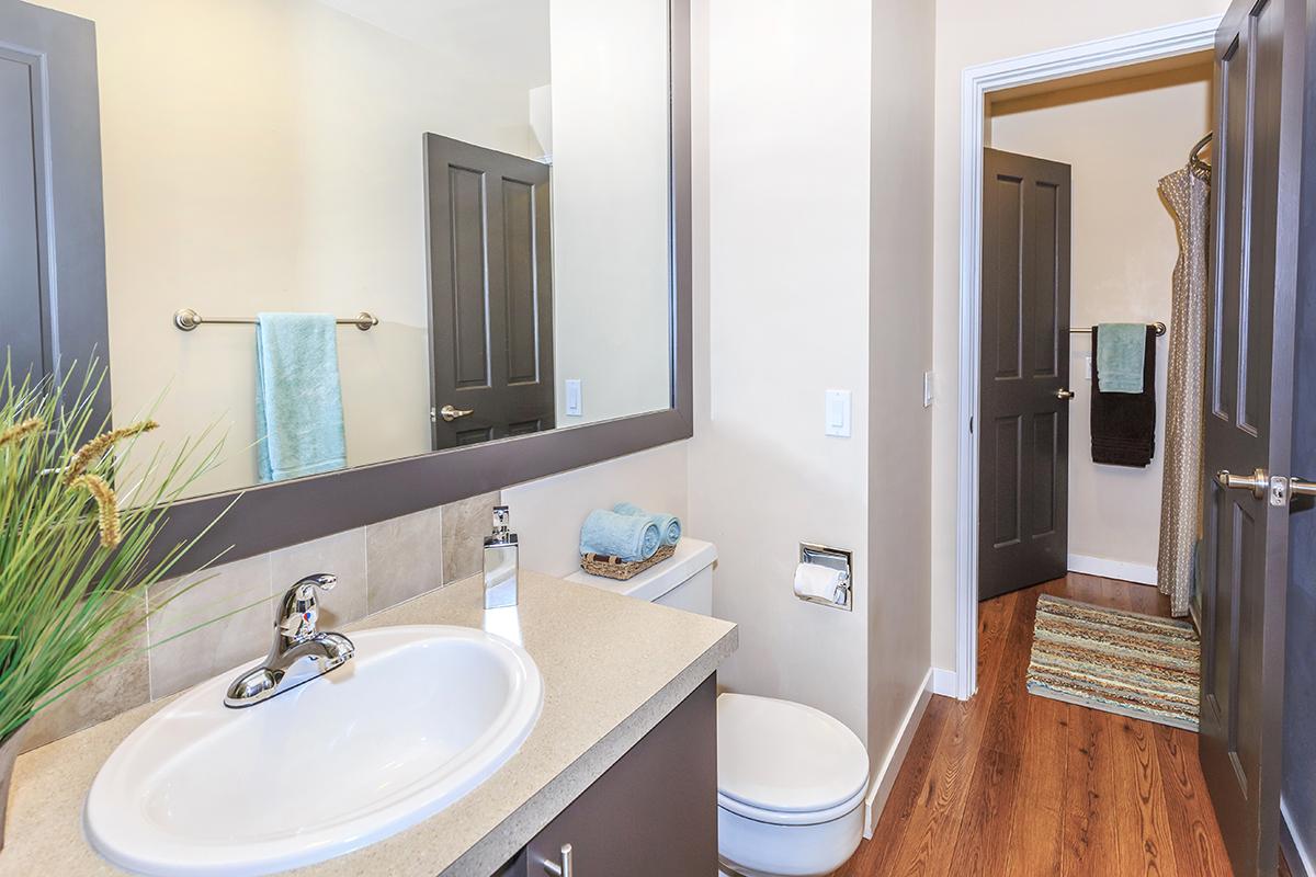 a double sink and large mirror