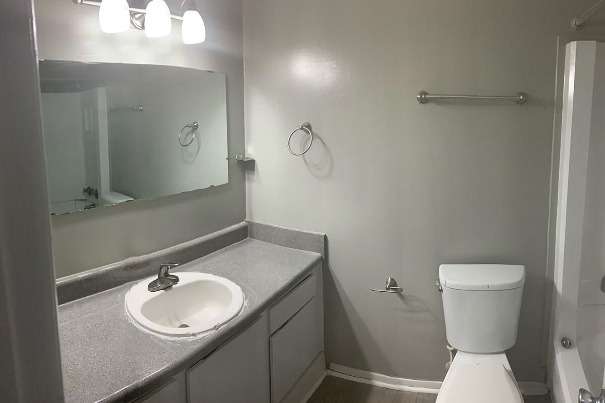 a sink and a mirror