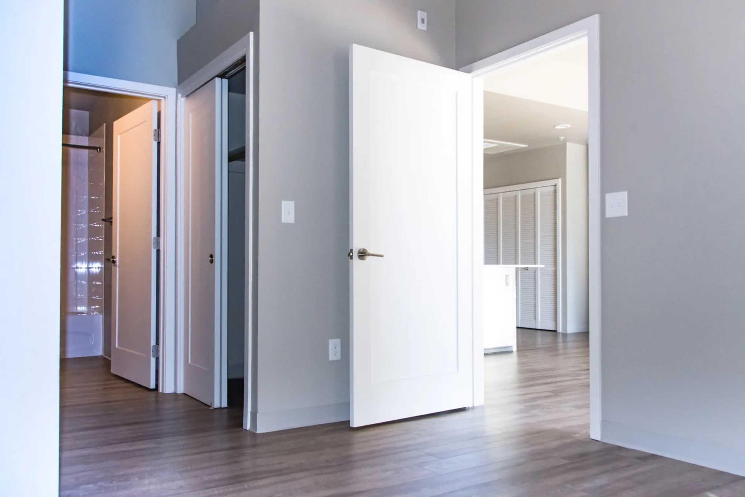 Interior view of a modern apartment showcasing an open layout with multiple doors leading to different rooms. The walls are painted in a light gray color, and the flooring is a warm wood tone. Soft natural light enters the space, highlighting the clean lines and contemporary design.
