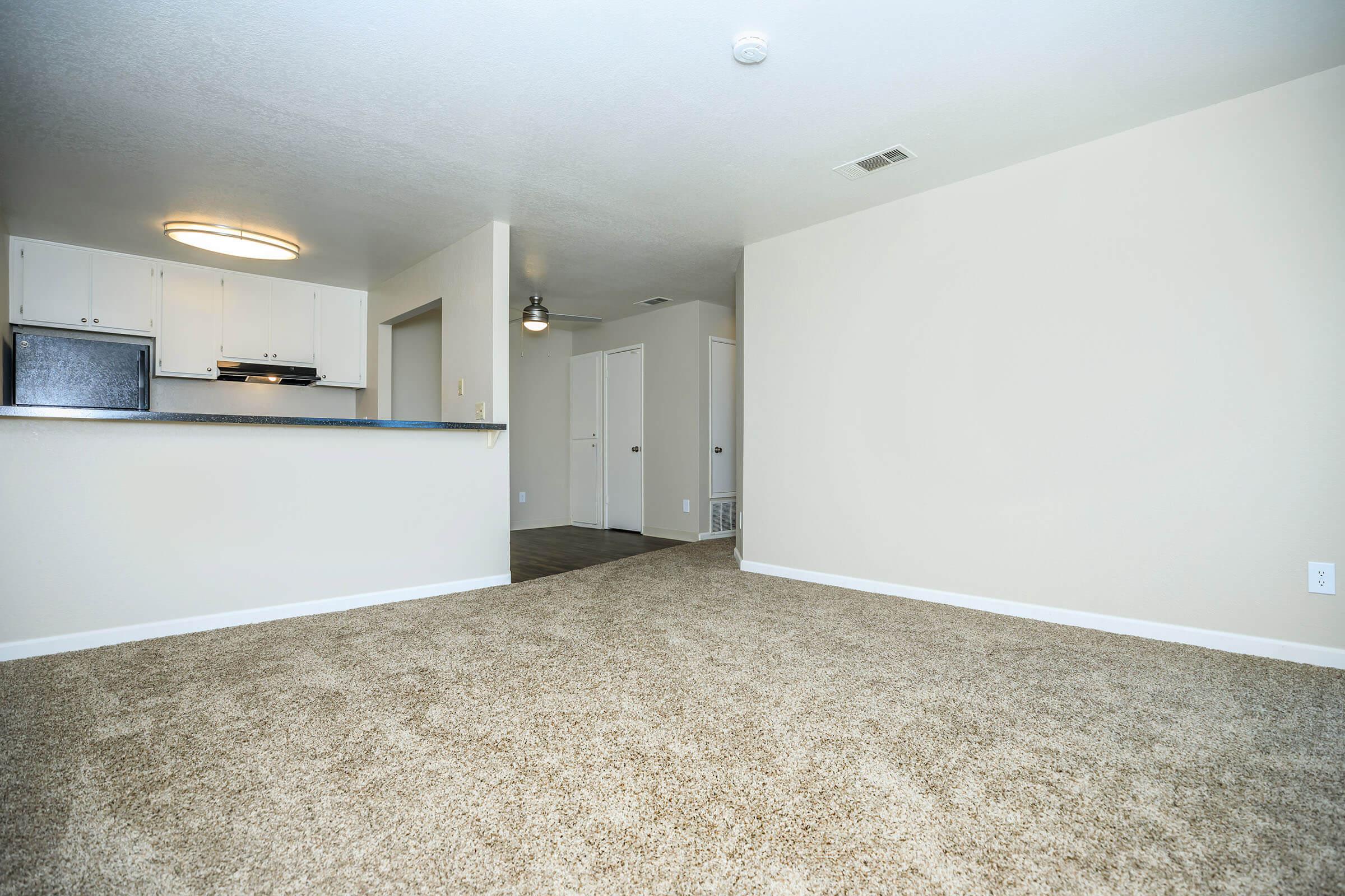 Living room with carpet