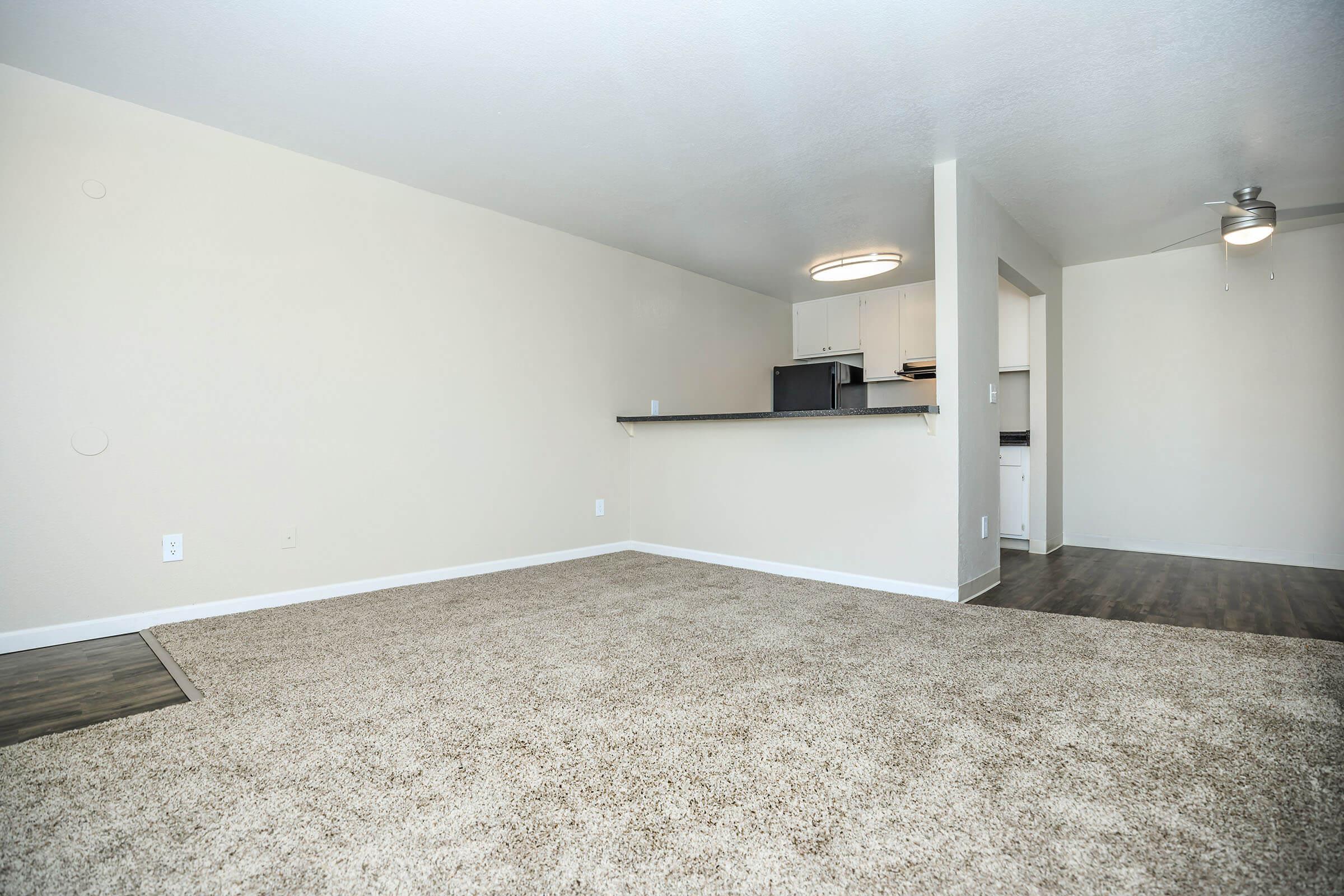 Carpeted living room