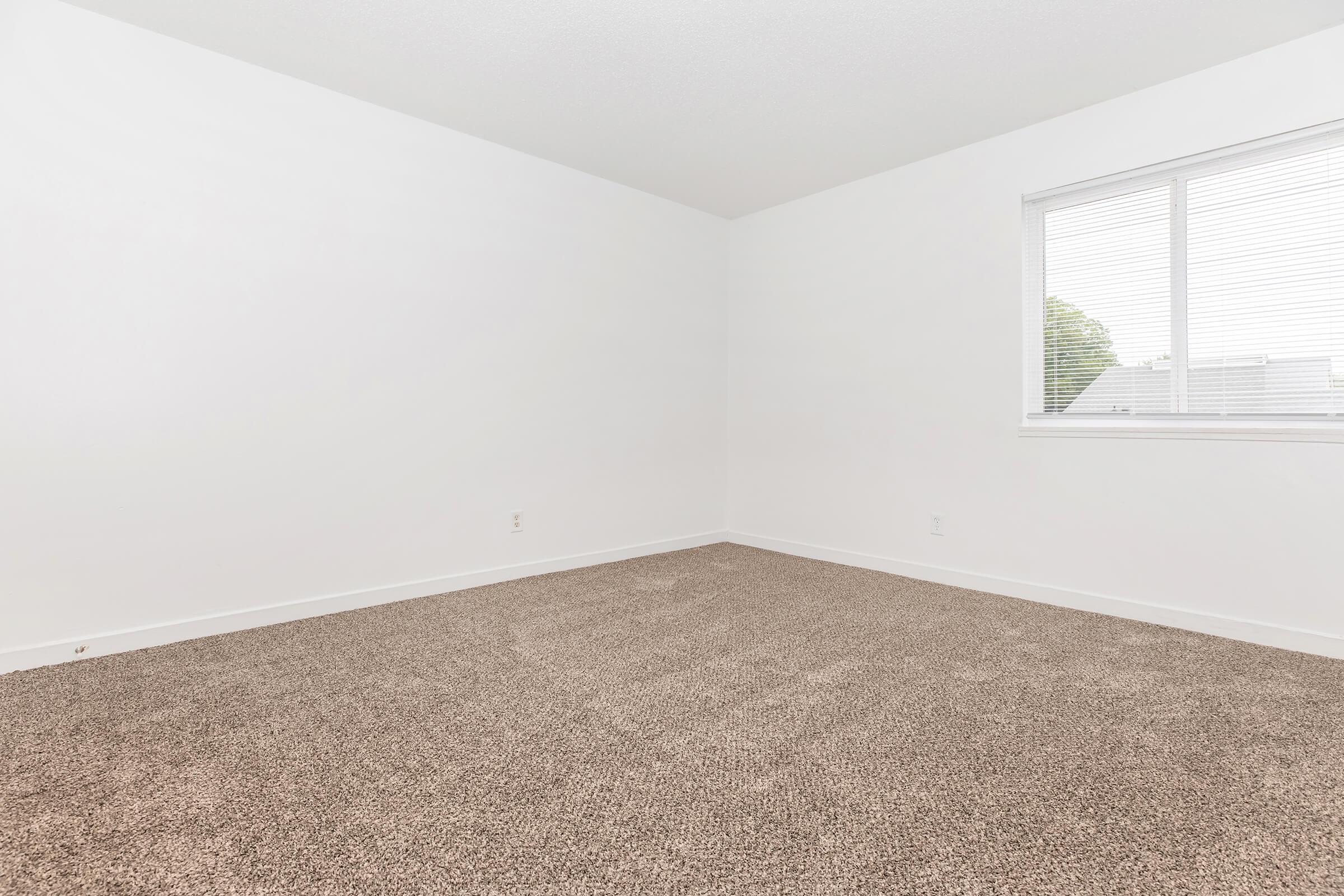 A spacious, empty room with light beige carpeting and plain white walls. A large window allows natural light to enter, featuring white blinds. The room has no furniture, creating an open and minimalist atmosphere.