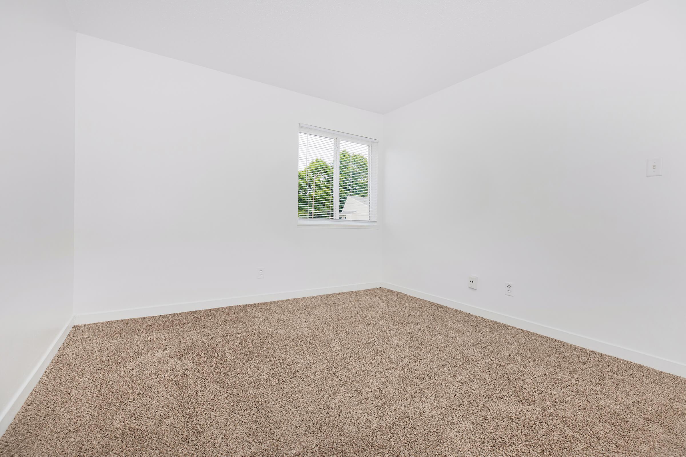 A spacious, empty room with white walls and a large window letting in natural light. The floor is covered with light brown carpet, creating a cozy atmosphere. Green trees can be seen outside the window, adding a touch of nature to the interior space.