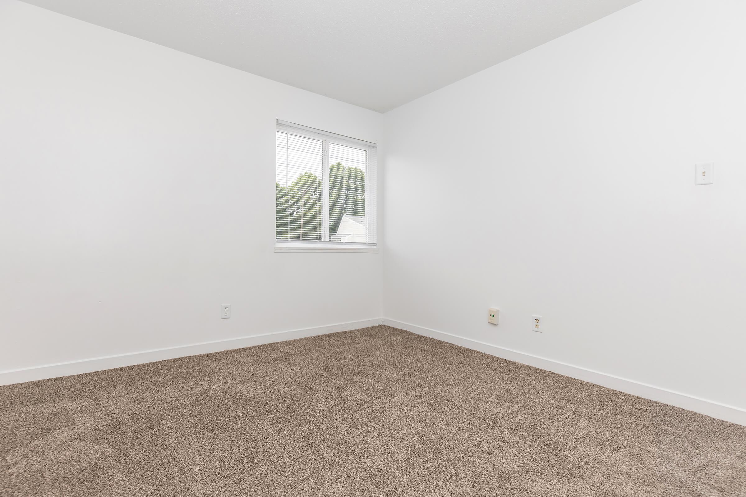 A vacant room with white walls and light beige carpet. There is a large window with blinds, letting in natural light. The space appears clean and minimalist, suitable for various uses such as a bedroom or office.