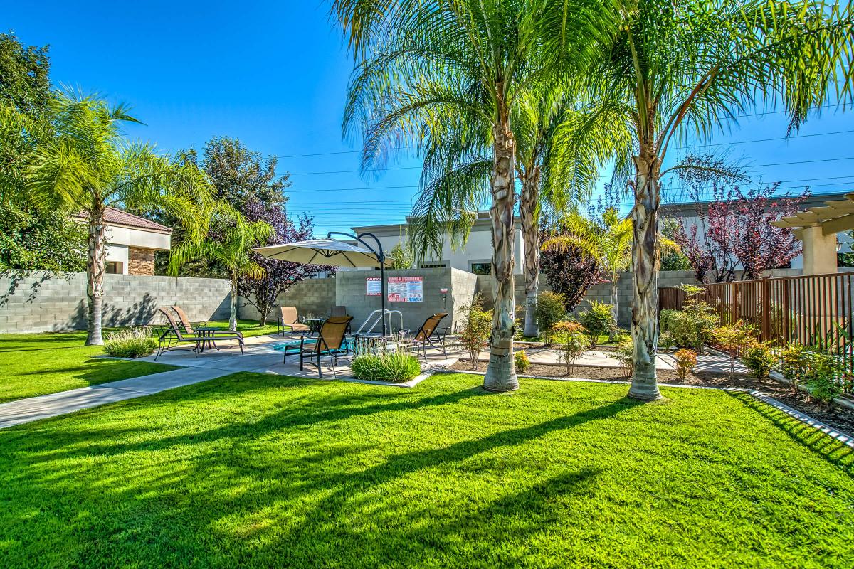 Greenery surrounding the community spa