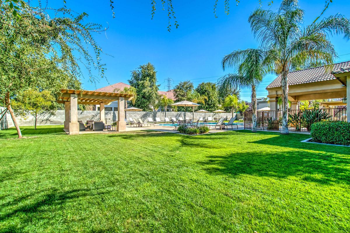 Green field next to a pergola