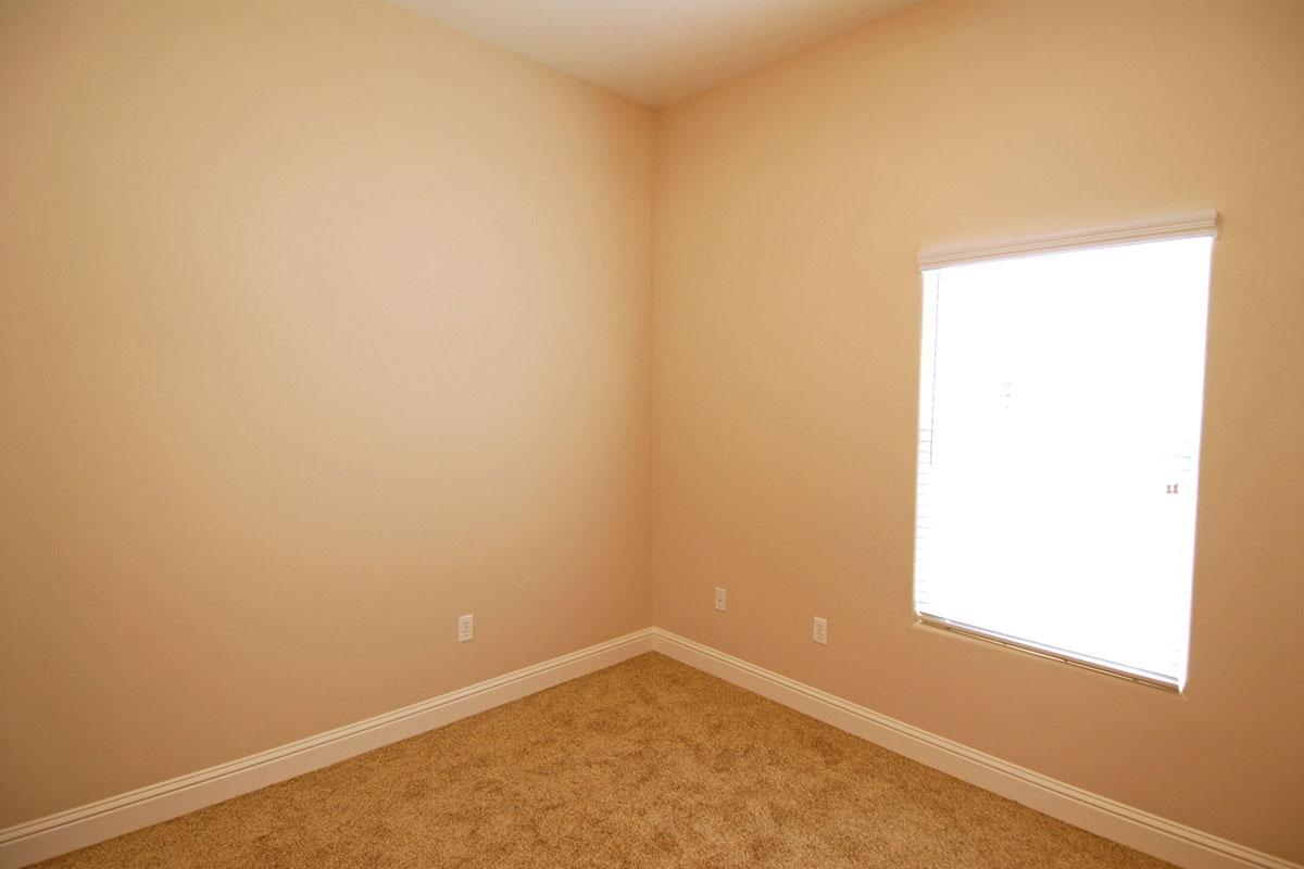 Vacant carpeted bedroom