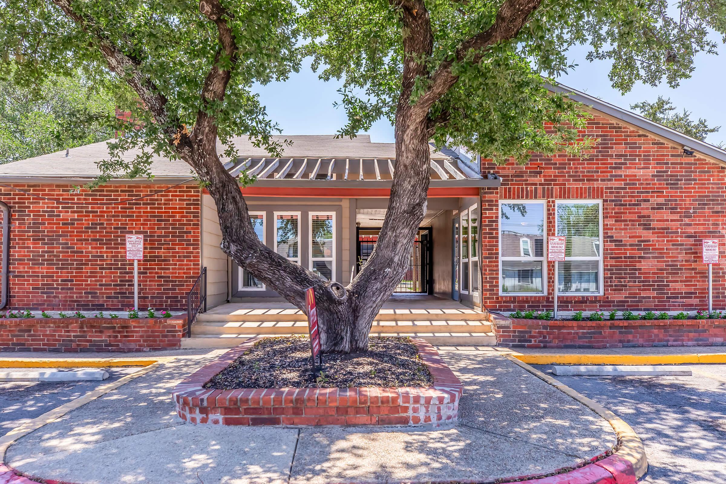 A brick building with a sloped roof features large front windows. A substantial tree with a thick trunk stands prominently in front of the entrance, surrounded by landscaped flower beds. Parking spaces are visible on both sides, with signs indicating parking regulations. Bright blue sky fills the background.