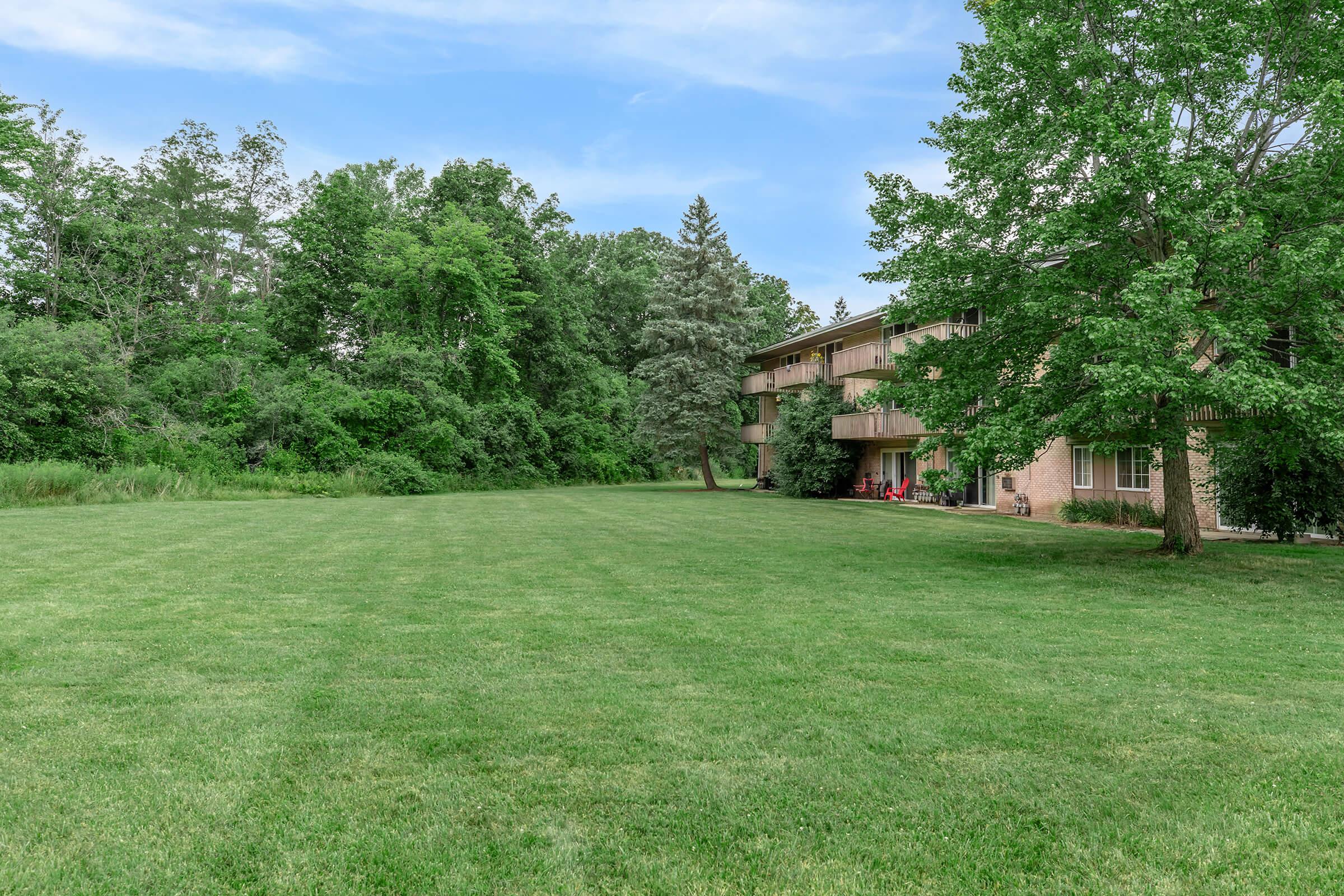 a tree in a grassy yard