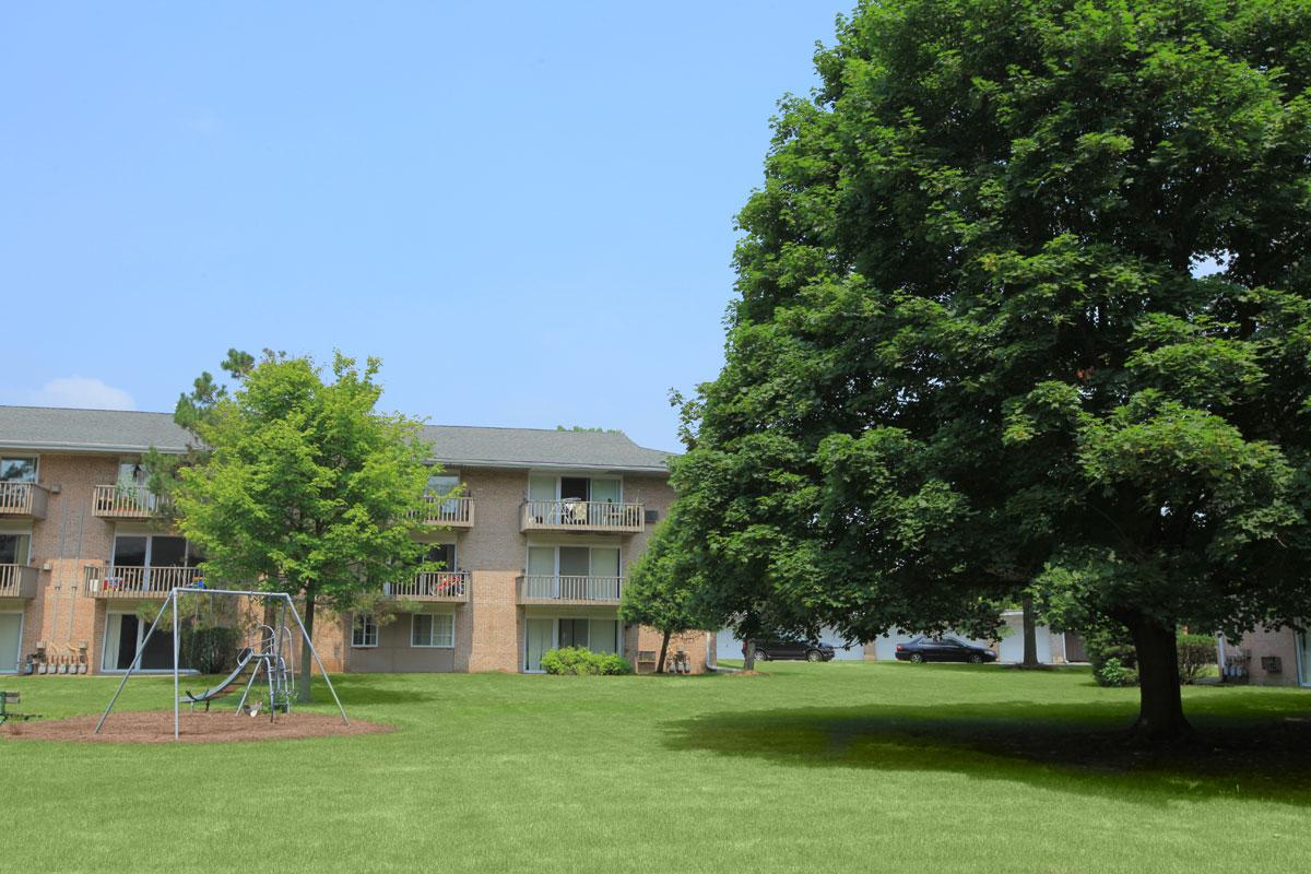 a large lawn in front of a tree