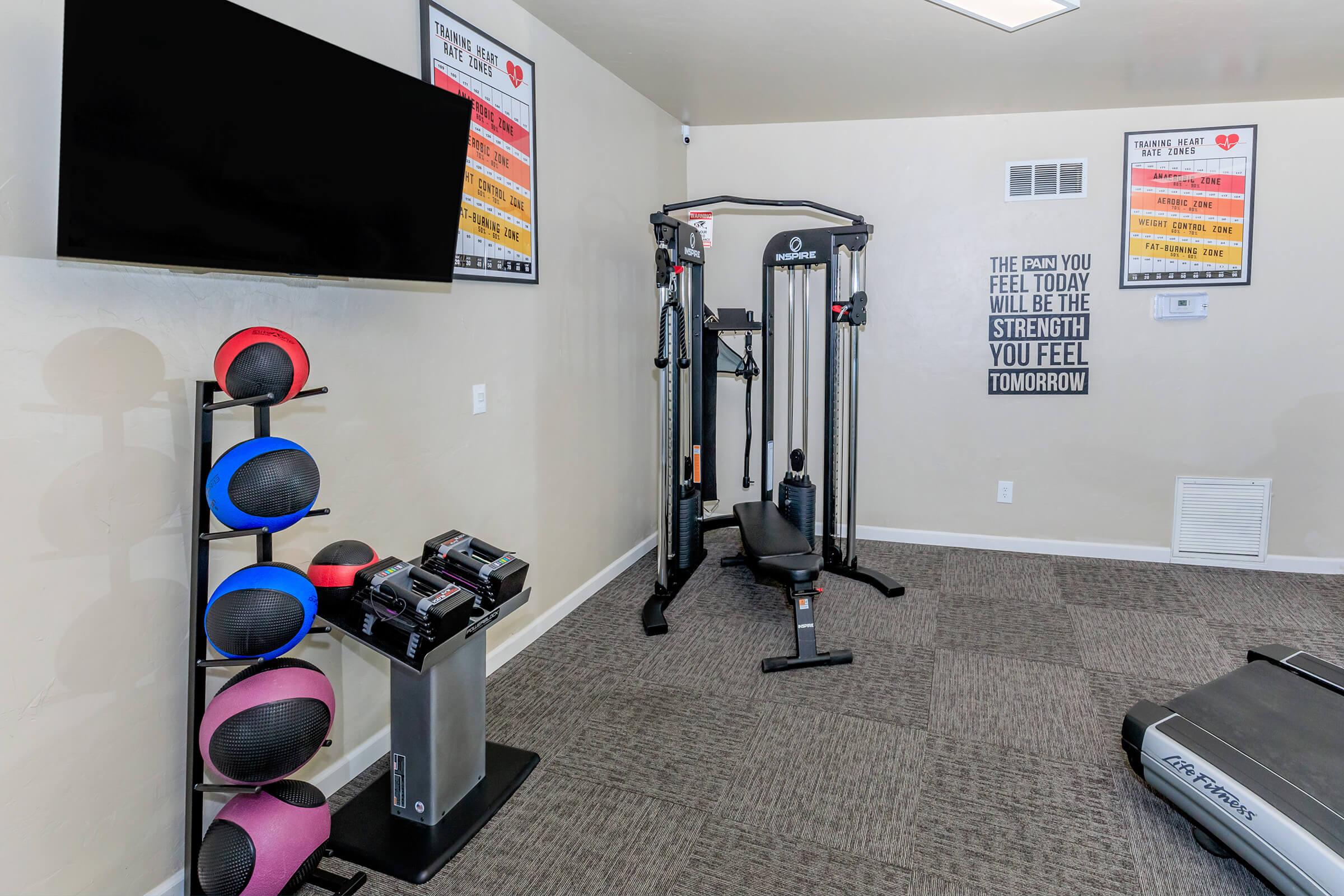 A modern gym interior featuring a wall-mounted television, a multi-station workout machine, a weight rack with colorful medicine balls, and a treadmill. Inspirational quotes are displayed on the walls, enhancing the motivational atmosphere of the space.