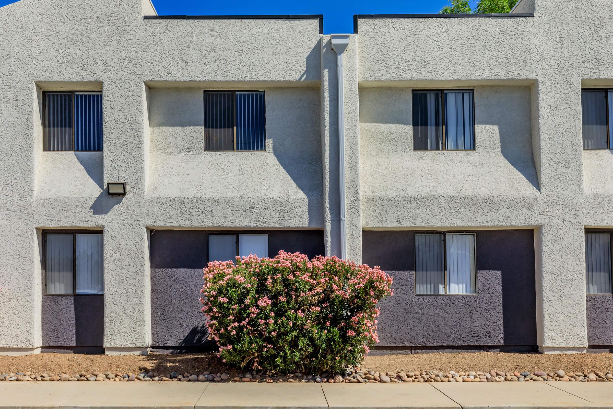 A symmetrical view of a two-story building featuring light-colored stucco exterior with dark accents. The facade has multiple rectangular windows with vertical blinds. In front, there's a flowering bush with pink blooms and a landscaped area with gravel along a concrete sidewalk.