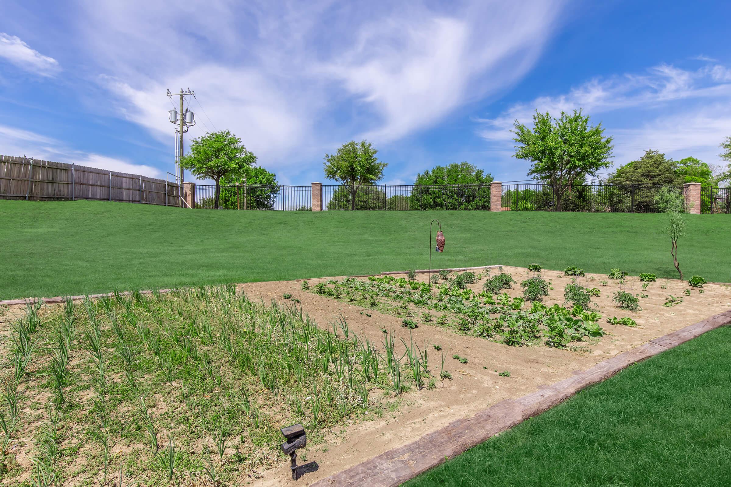 A landscaped garden with rows of vegetables and herbs on a sunny day. Lush green grass surrounds the garden, with trees and a wooden fence in the background. The sky is partly cloudy, adding to the tranquil outdoor setting.