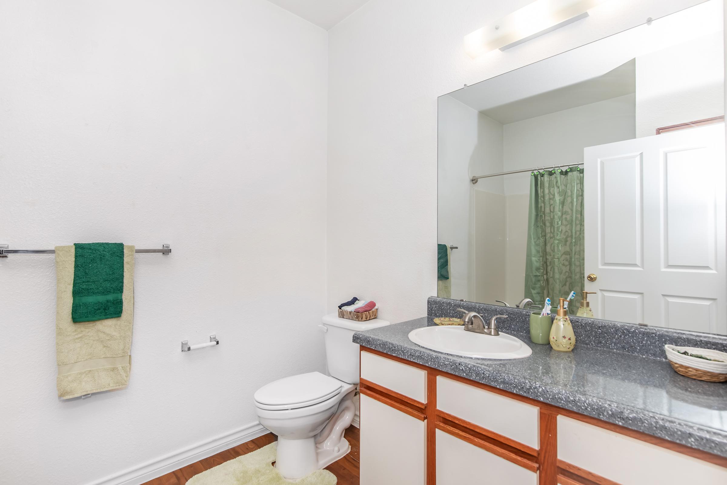 A bright, clean bathroom featuring a white toilet, a large mirror above a granite countertop with a sink, and wooden cabinets. The walls are painted white, and there's a green shower curtain visible. A towel rack holds green towels, and a light-colored rug is on the floor.