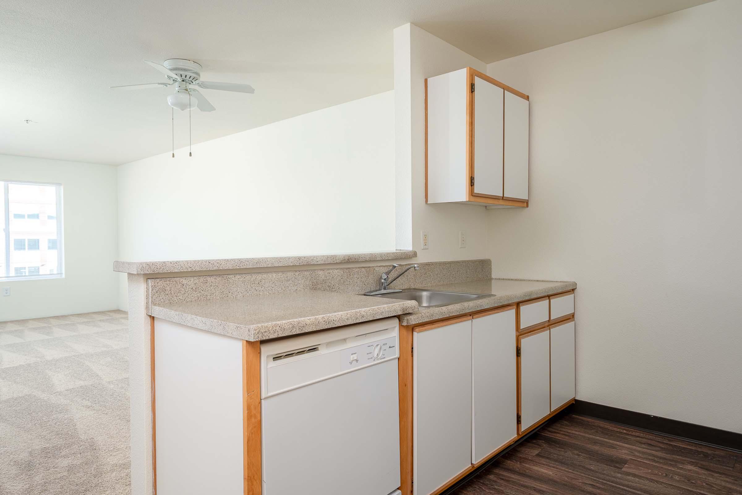 Image of a small, modern kitchen area with a dishwasher and sink. The countertop is light-colored and has wooden trim. In the background, there's a spacious living area with carpeted flooring. A ceiling fan is visible on the left, and a window allows natural light to enter the space, creating a bright atmosphere.