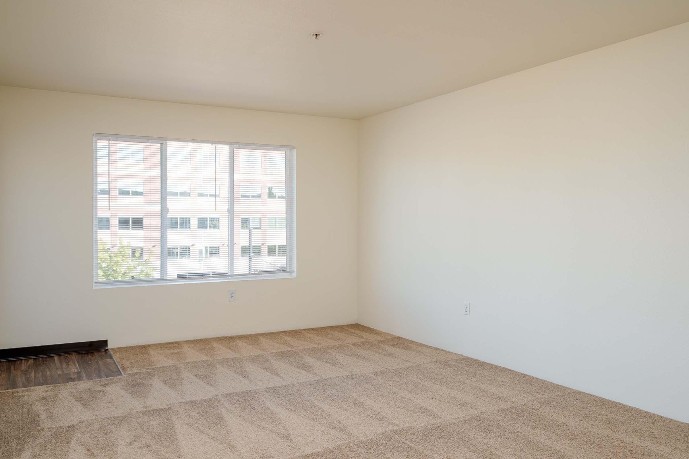 A spacious, empty room featuring light beige carpeting and plain white walls. A large window on one side allows natural light to fill the space. The view outside shows a few buildings. The room is devoid of furniture, creating an open and airy atmosphere.