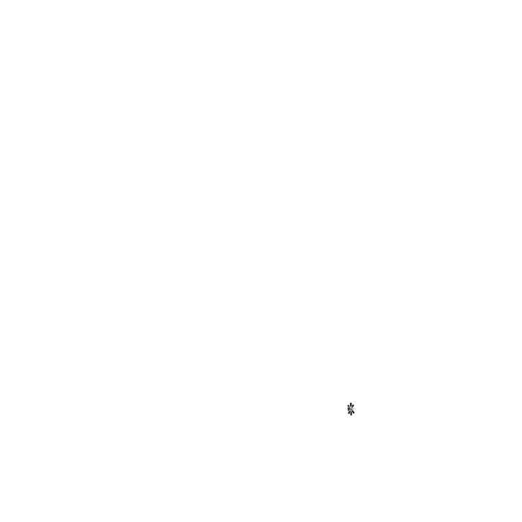 Floor plan image of Capri