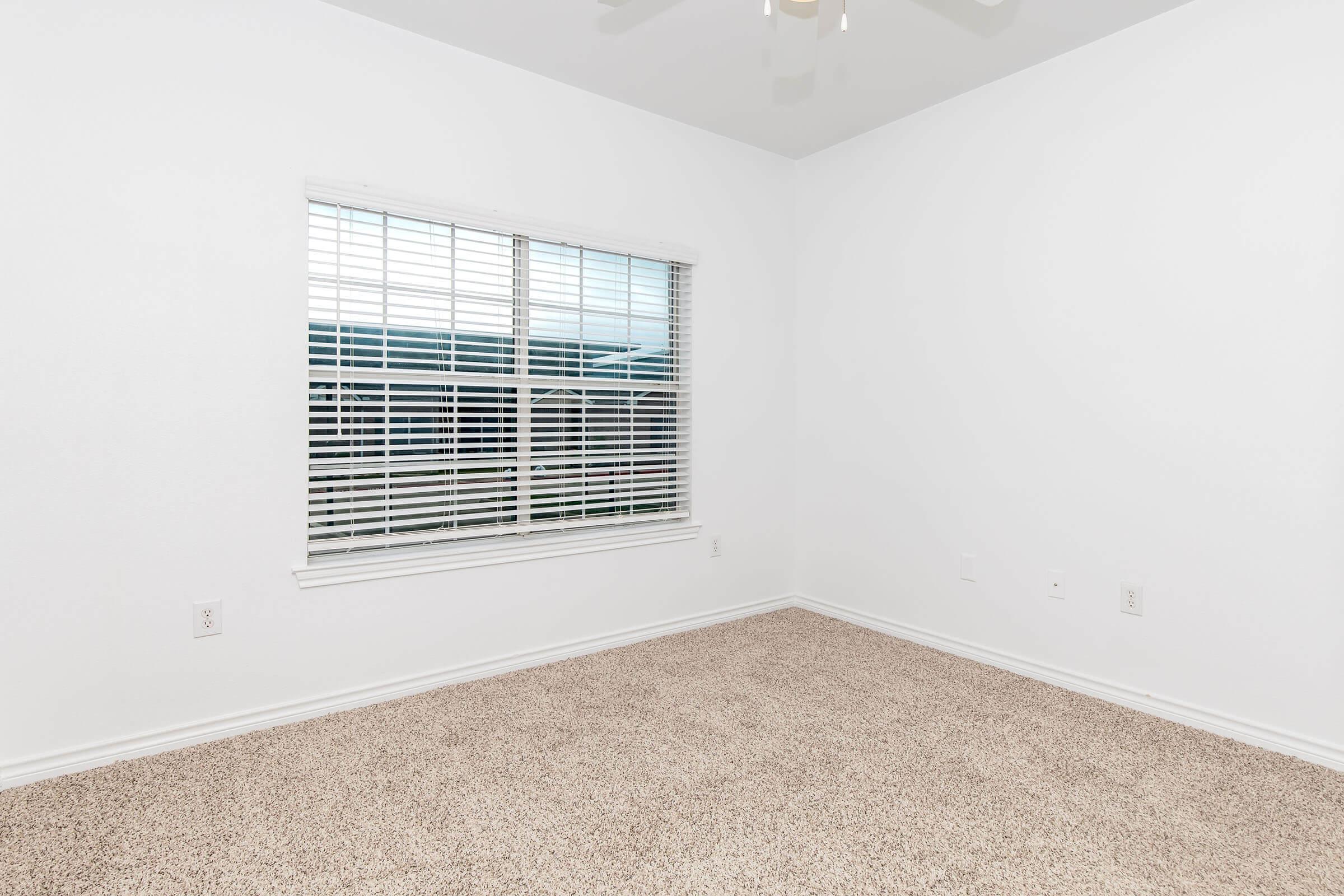 A bright, empty room with white walls and a tan carpet. There is a window with white blinds that lets in natural light, and the space is devoid of furniture, giving it an open and airy feeling.